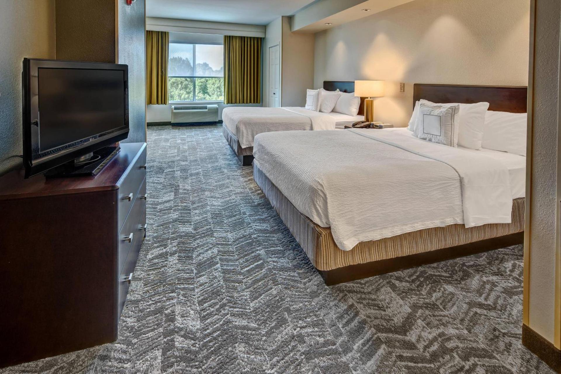 SpringHill Suites by Marriott New Bern photo 4