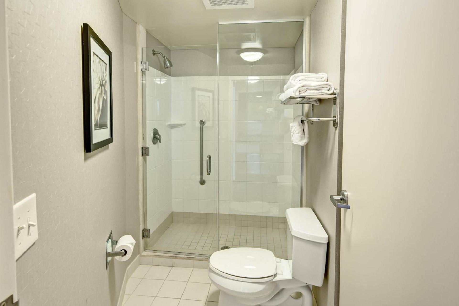 SpringHill Suites by Marriott New Bern photo 9