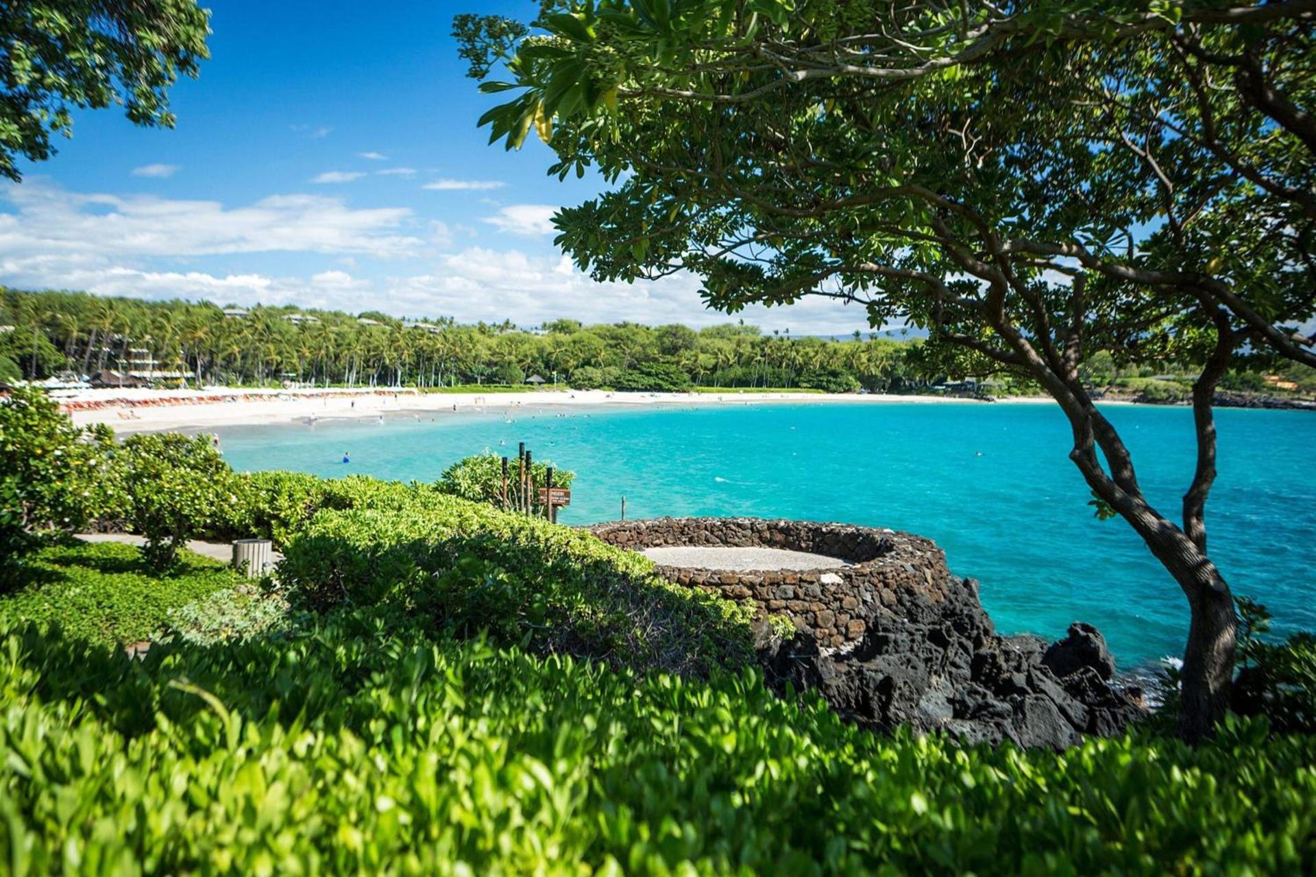 Mauna Kea Beach Hotel, Autograph Collection photo 6