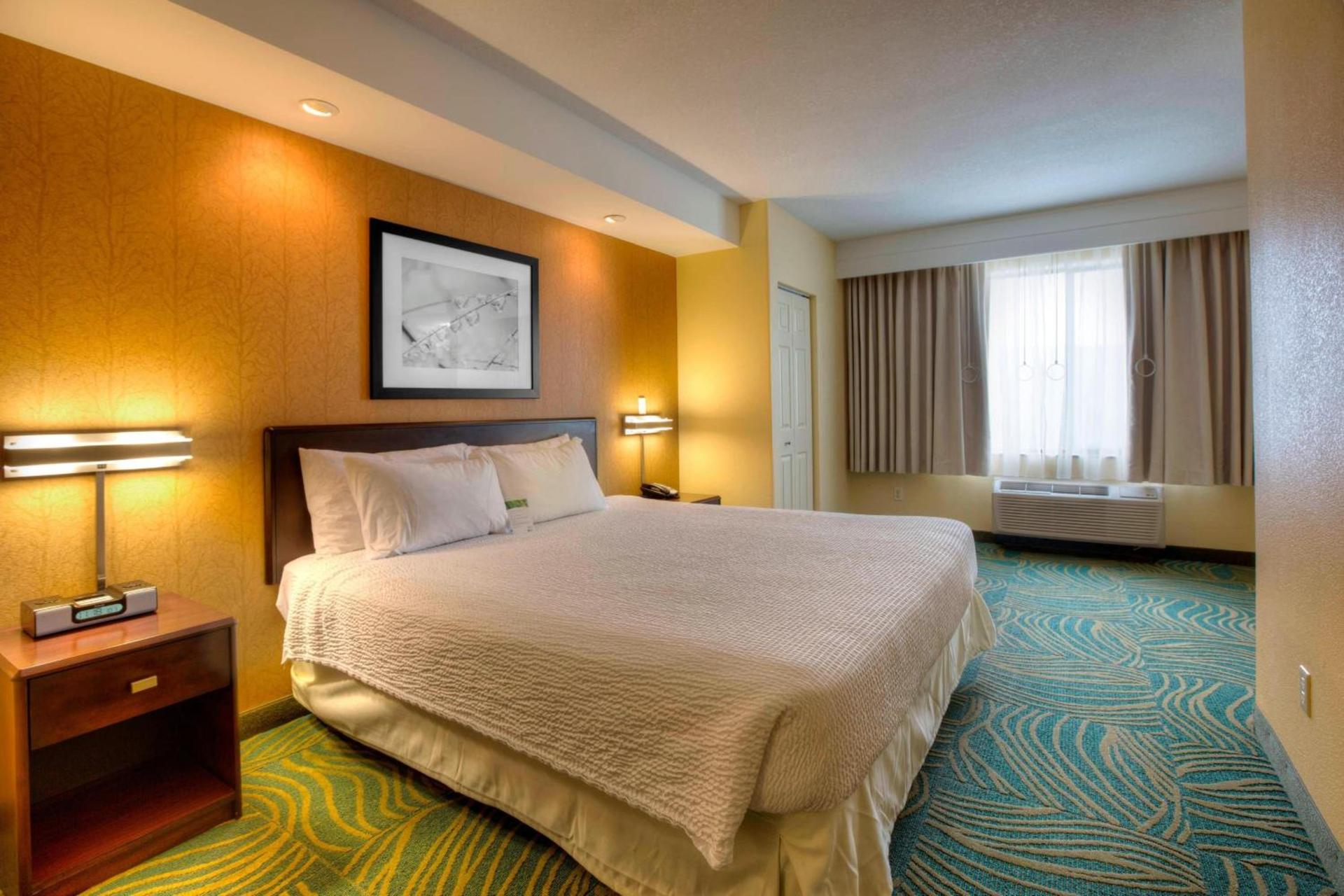 SpringHill Suites by Marriott - Tampa Brandon photo 5