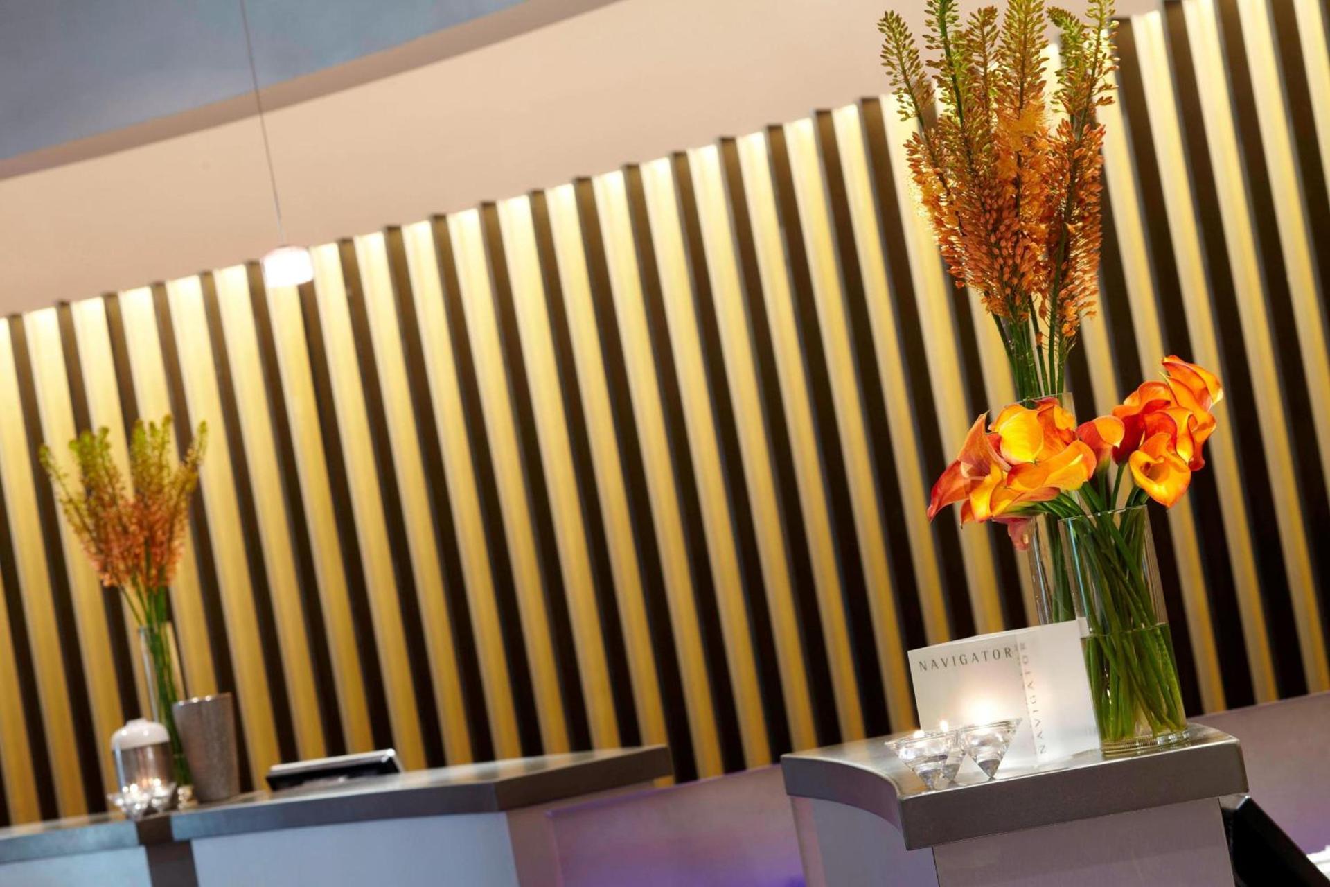 Renaissance St. Louis Airport Hotel photo 5