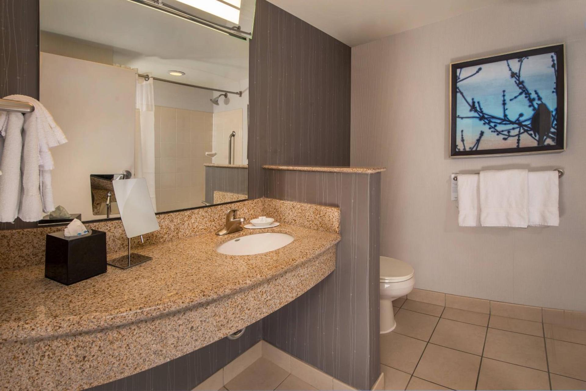 Courtyard by Marriott Gaithersburg Washingtonian Center photo 16