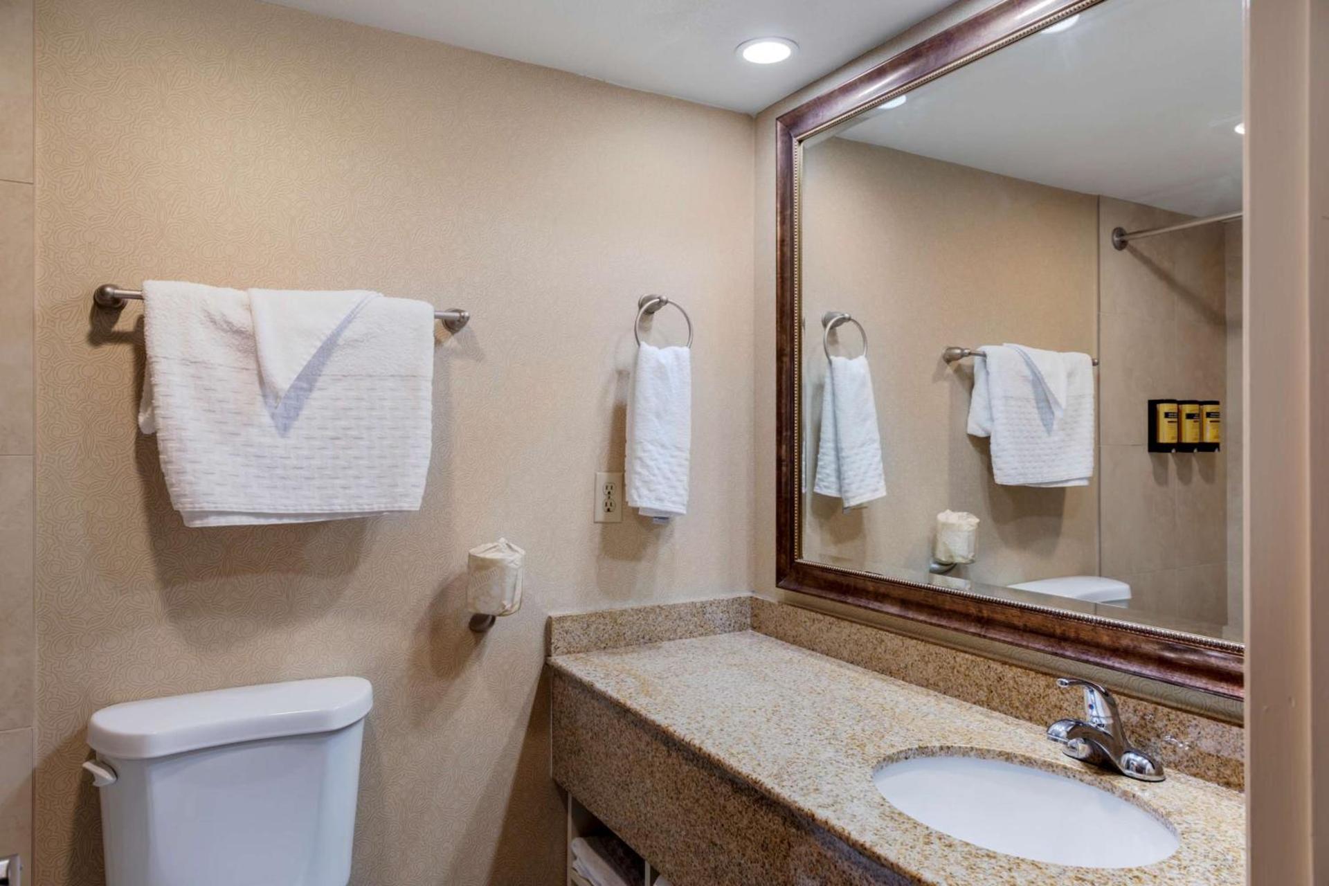 Best Western Plus Big America photo 31