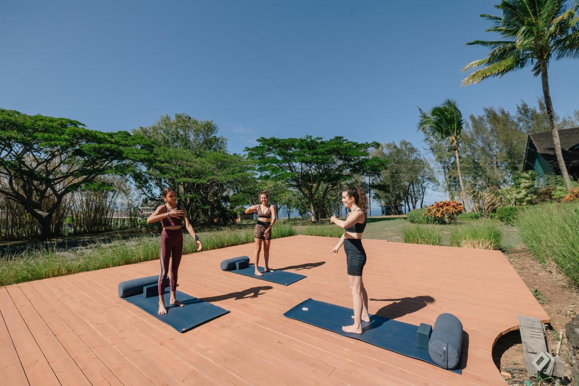 Lumeria Maui, Wellness Retreat Center photo 88