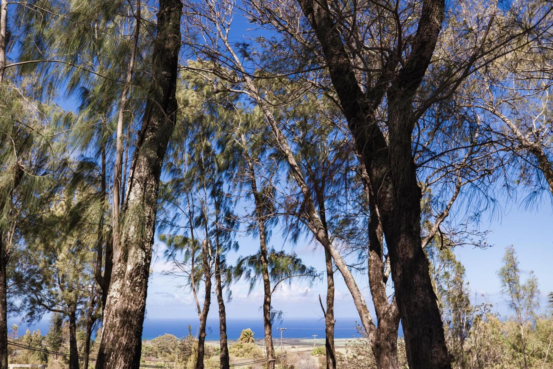 Lumeria Maui, Wellness Retreat Center photo 97