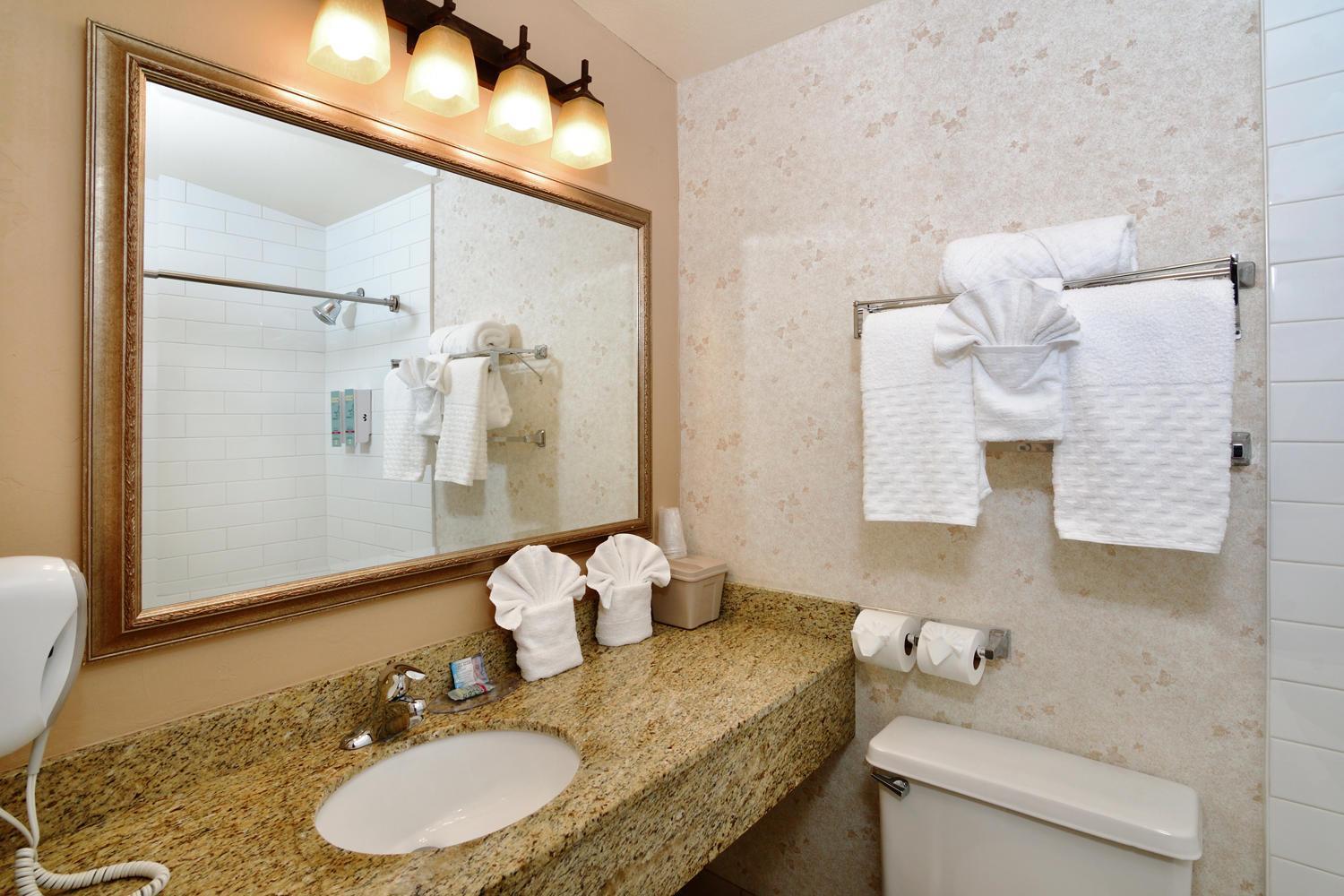 Lamplighter Inn & Suites at SDSU photo 44