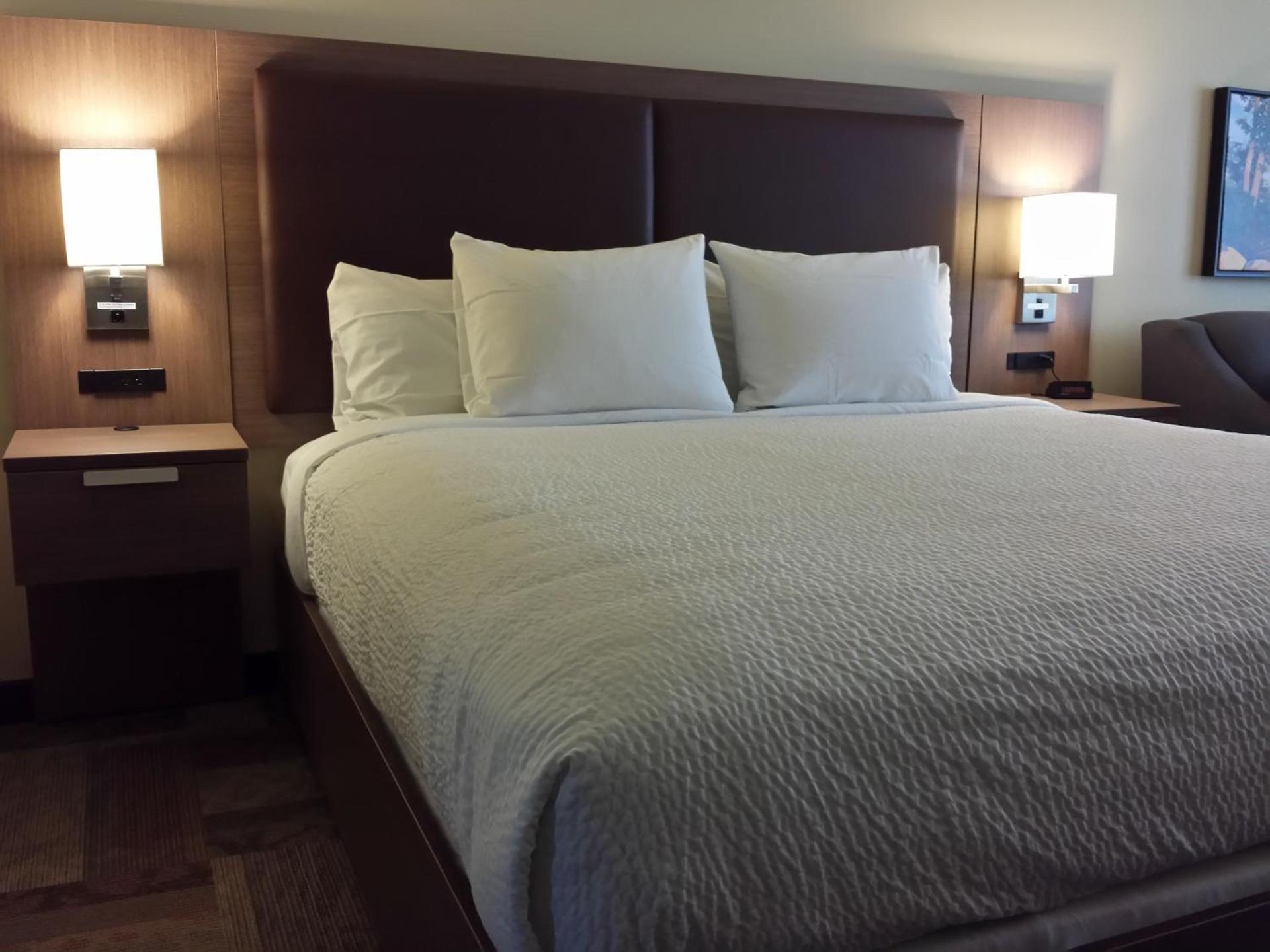Belfast Harbor Inn photo 43