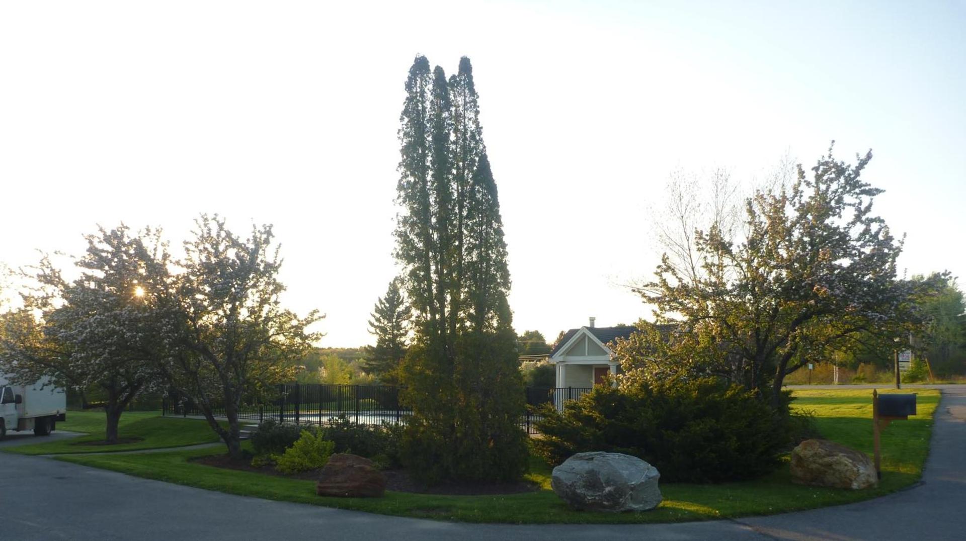 Belfast Harbor Inn photo 39