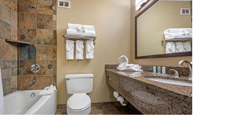 Comfort Suites Georgetown photo 57