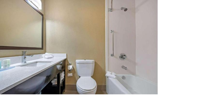 Comfort Suites Georgetown photo 58