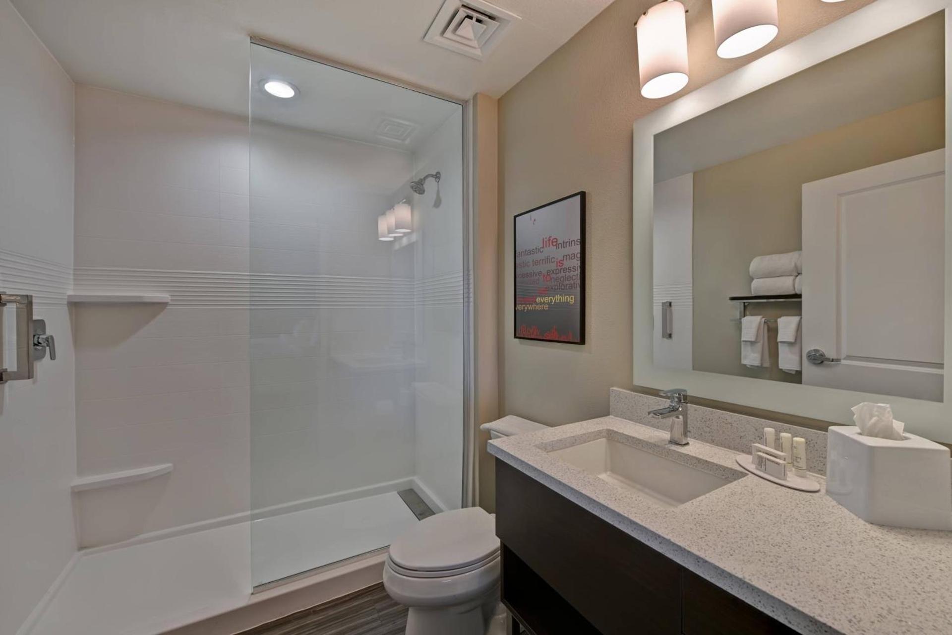 TownePlace Suites by Marriott El Paso East/I-10 photo 18