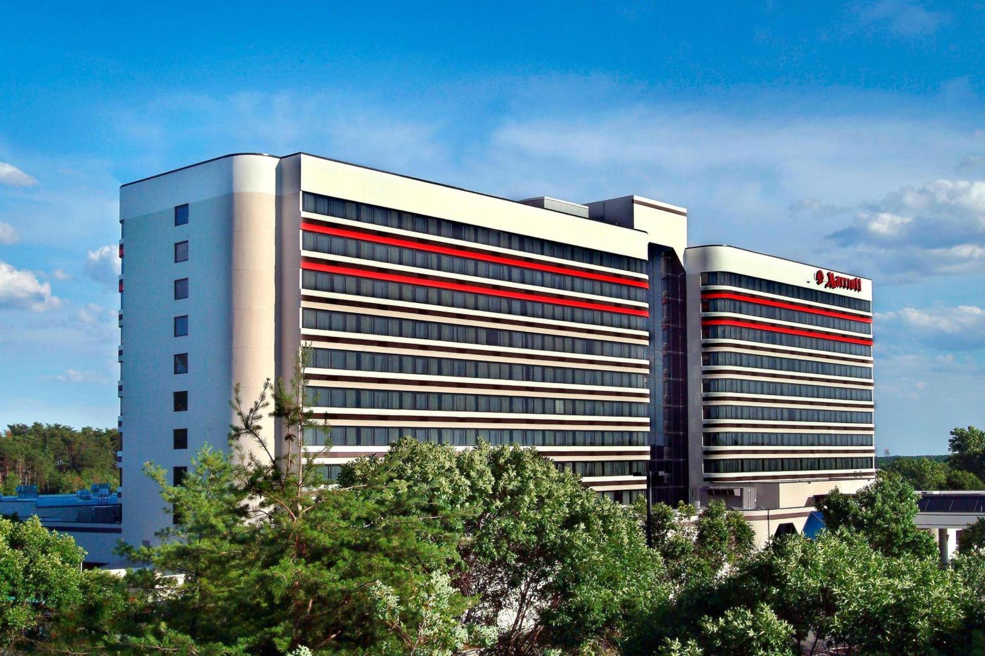 BWI Airport Marriott photo 1