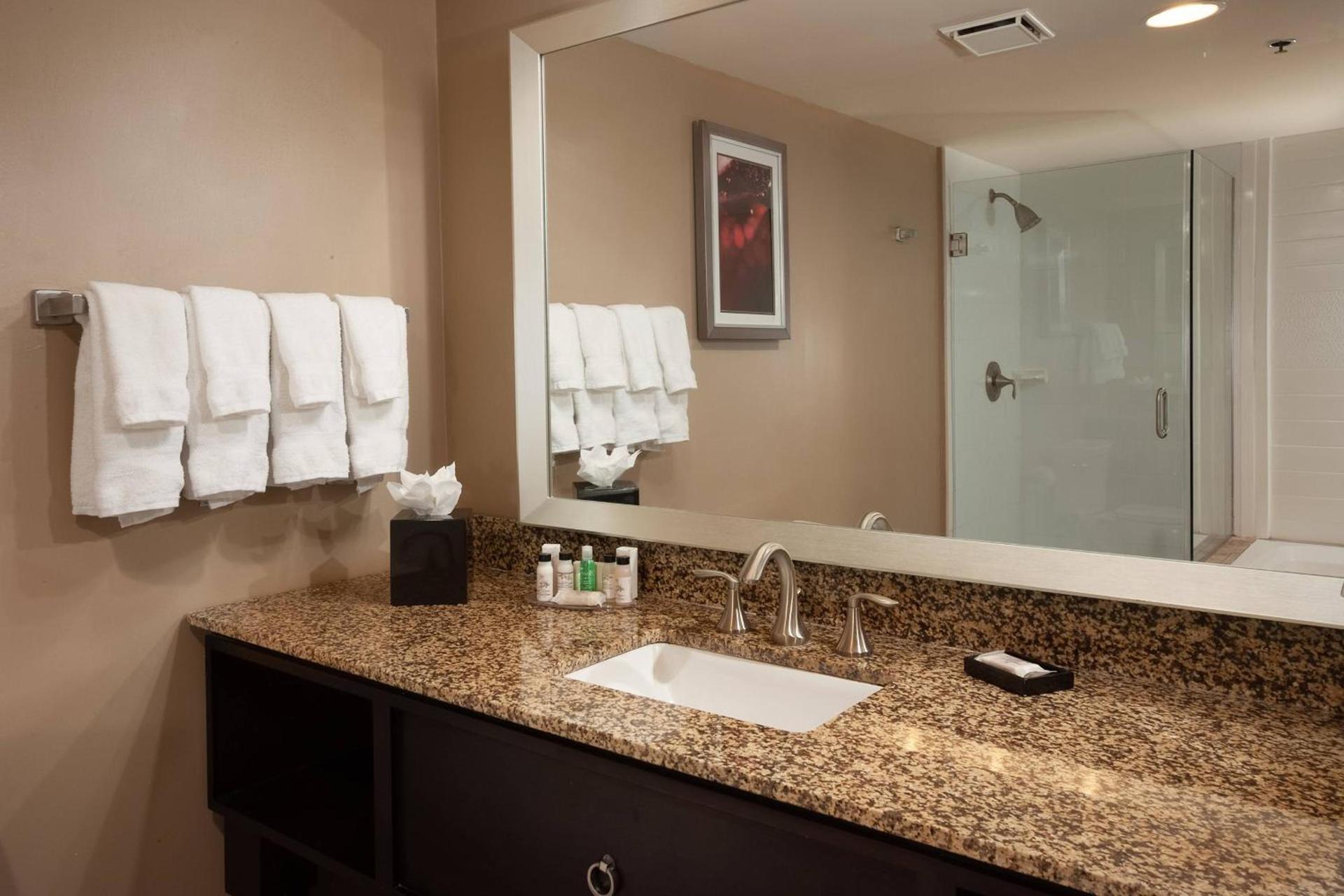 Delta Hotels by Marriott Orlando Lake Buena Vista photo 19