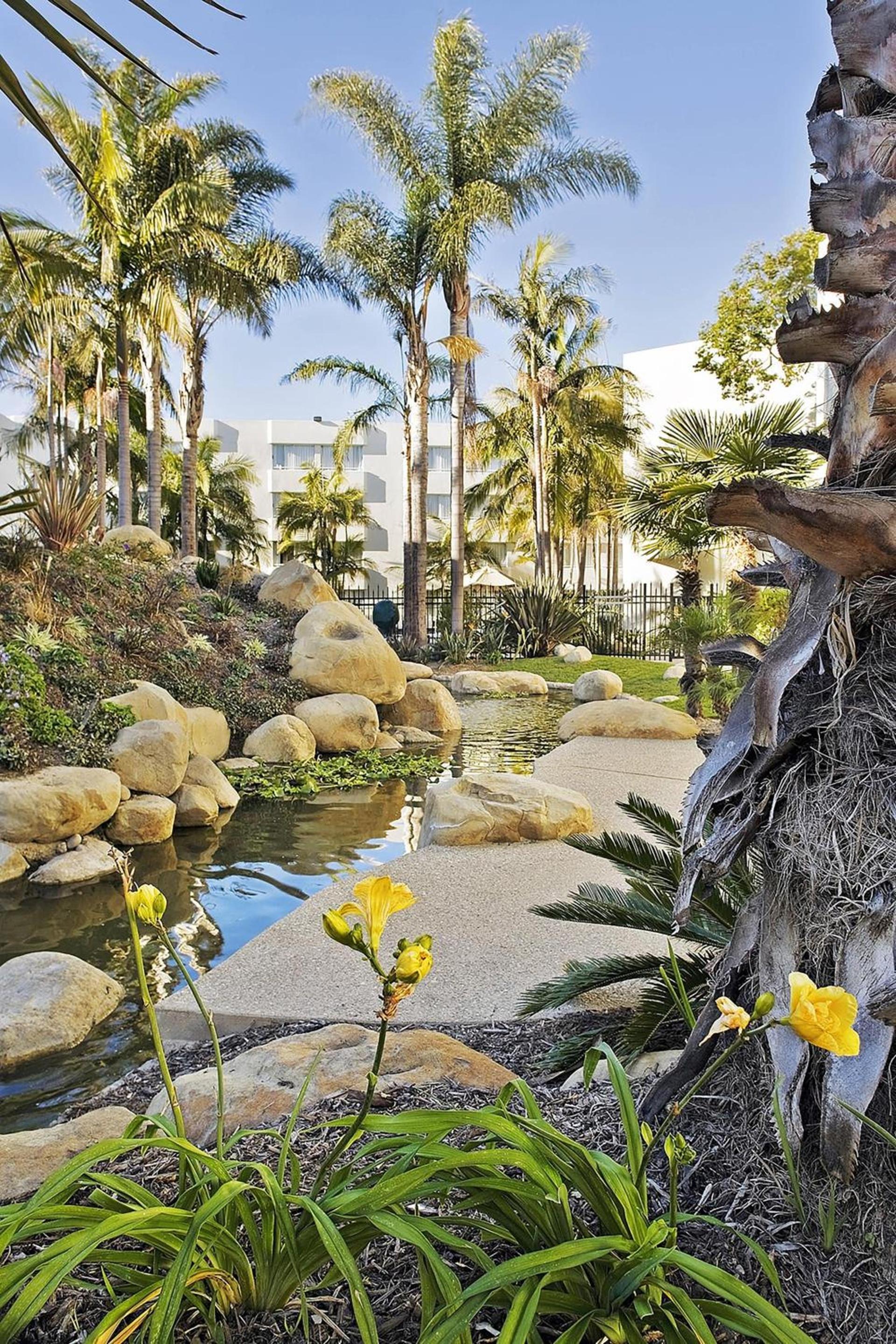 Ventura Beach Marriott photo 8