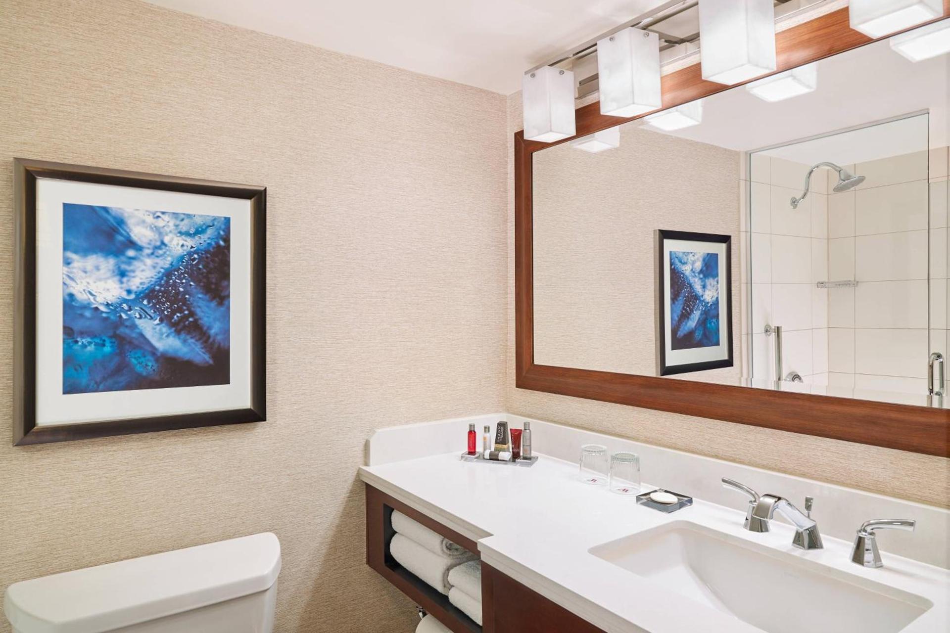 Marriott Chicago O’Hare photo 8