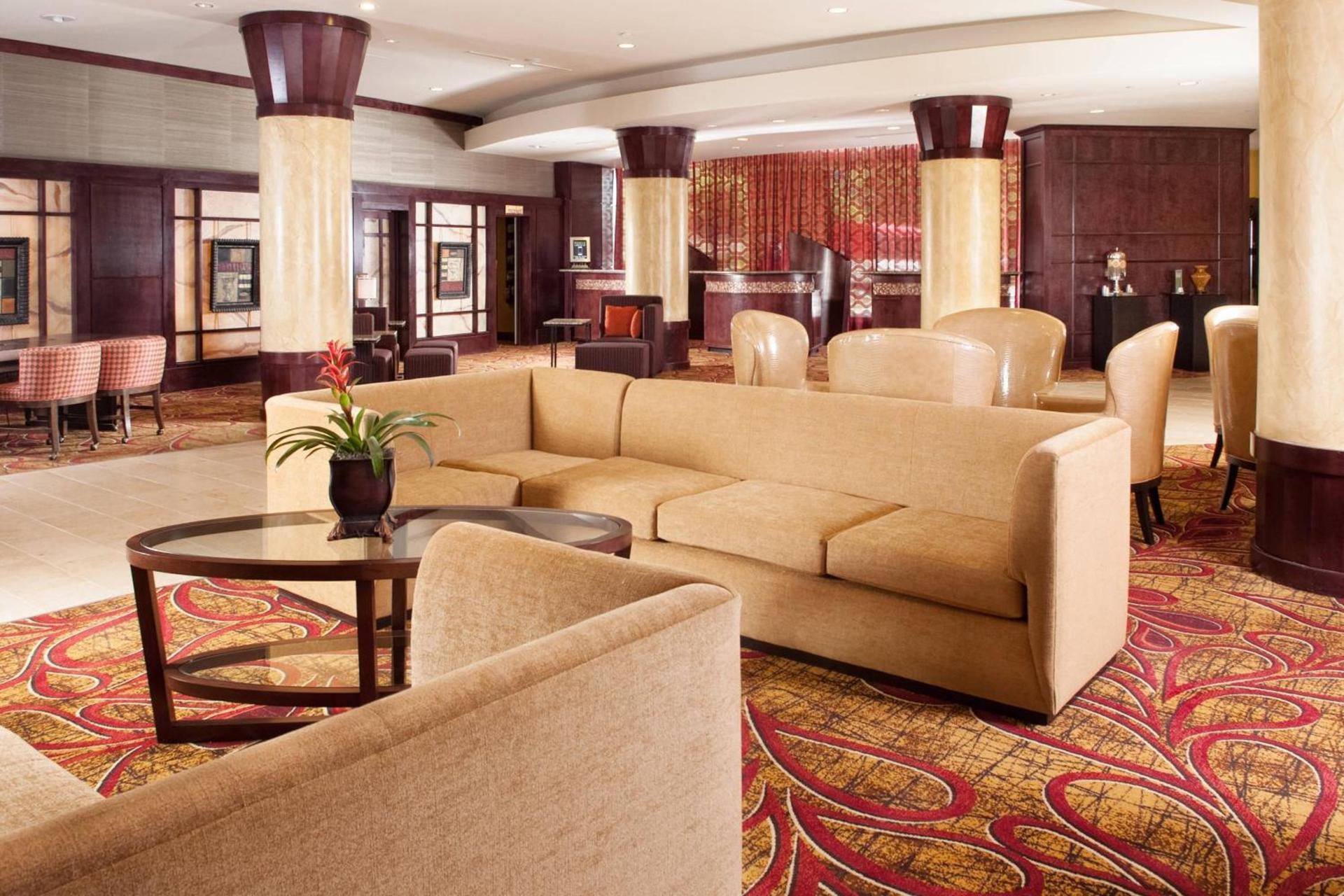 Greenville Marriott photo 16