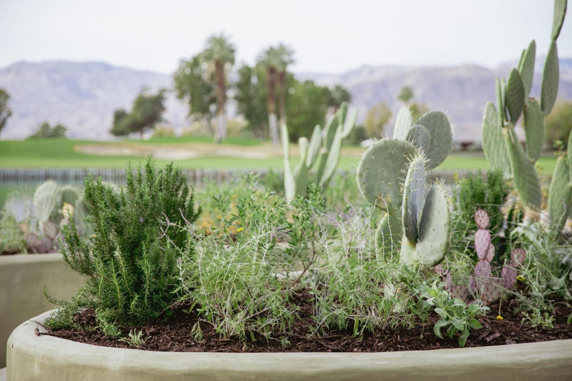 JW Marriott Desert Springs Resort & Spa photo 18