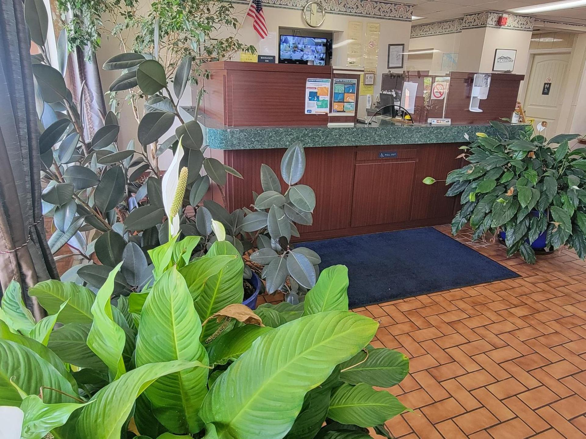 Studio 9 Inn & Suites photo 6