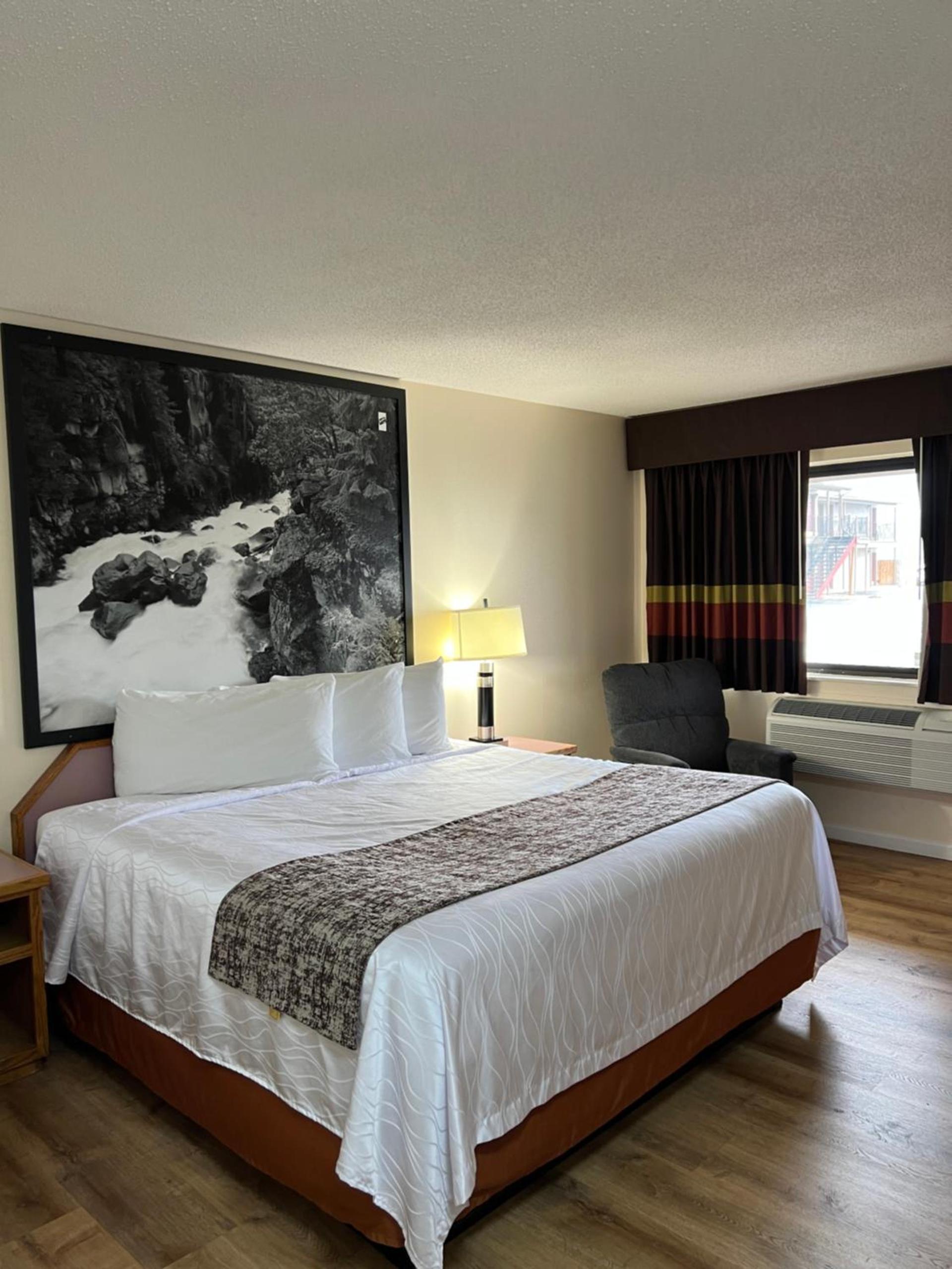 Ashland Street Inn photo 8