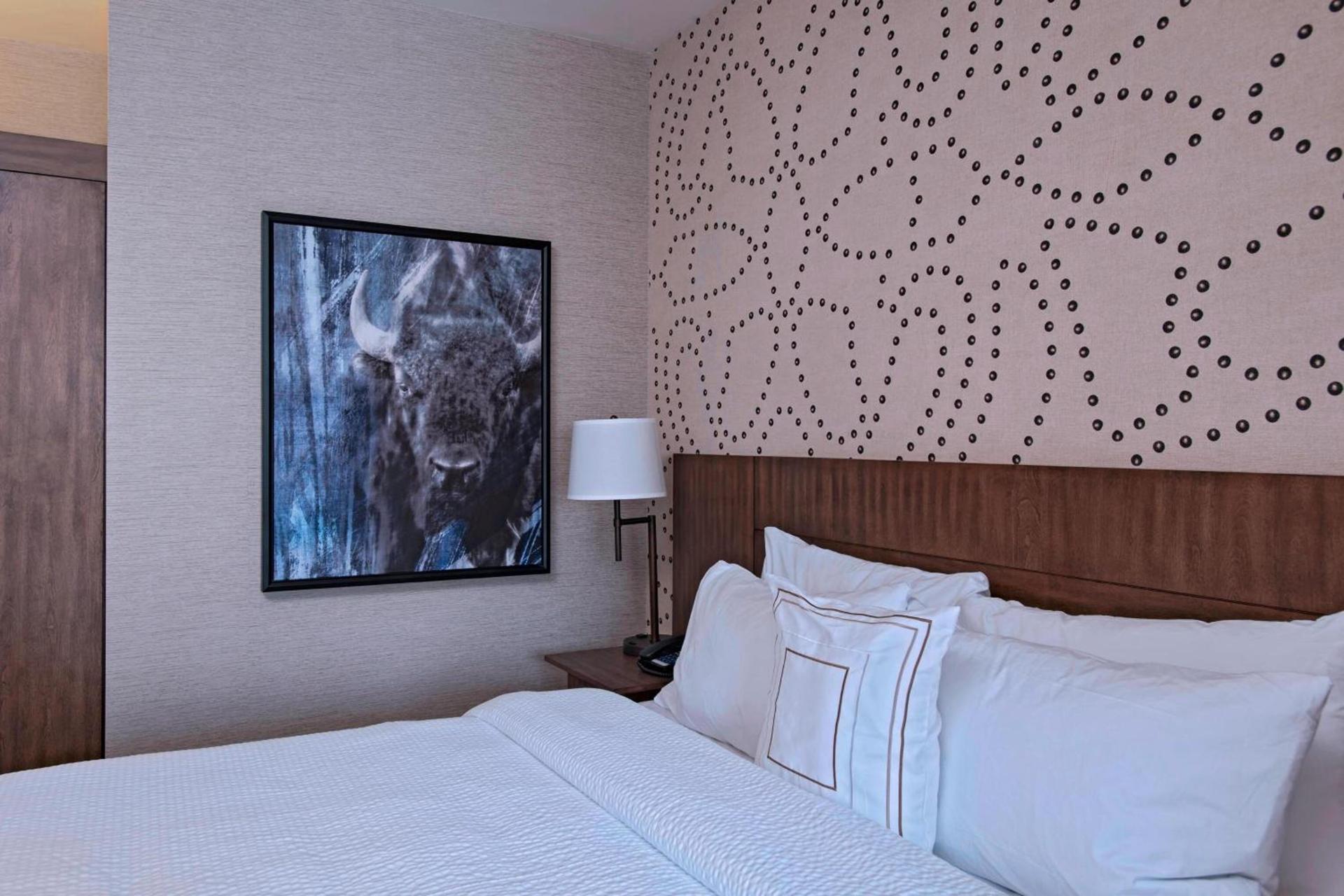 Fairfield Inn & Suites by Marriott Cheyenne Southwest/Downtown Area photo 7