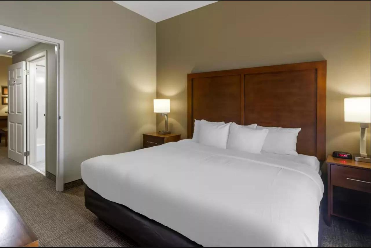 Comfort Inn & Suites Peachtree Corners - Norcross photo 13