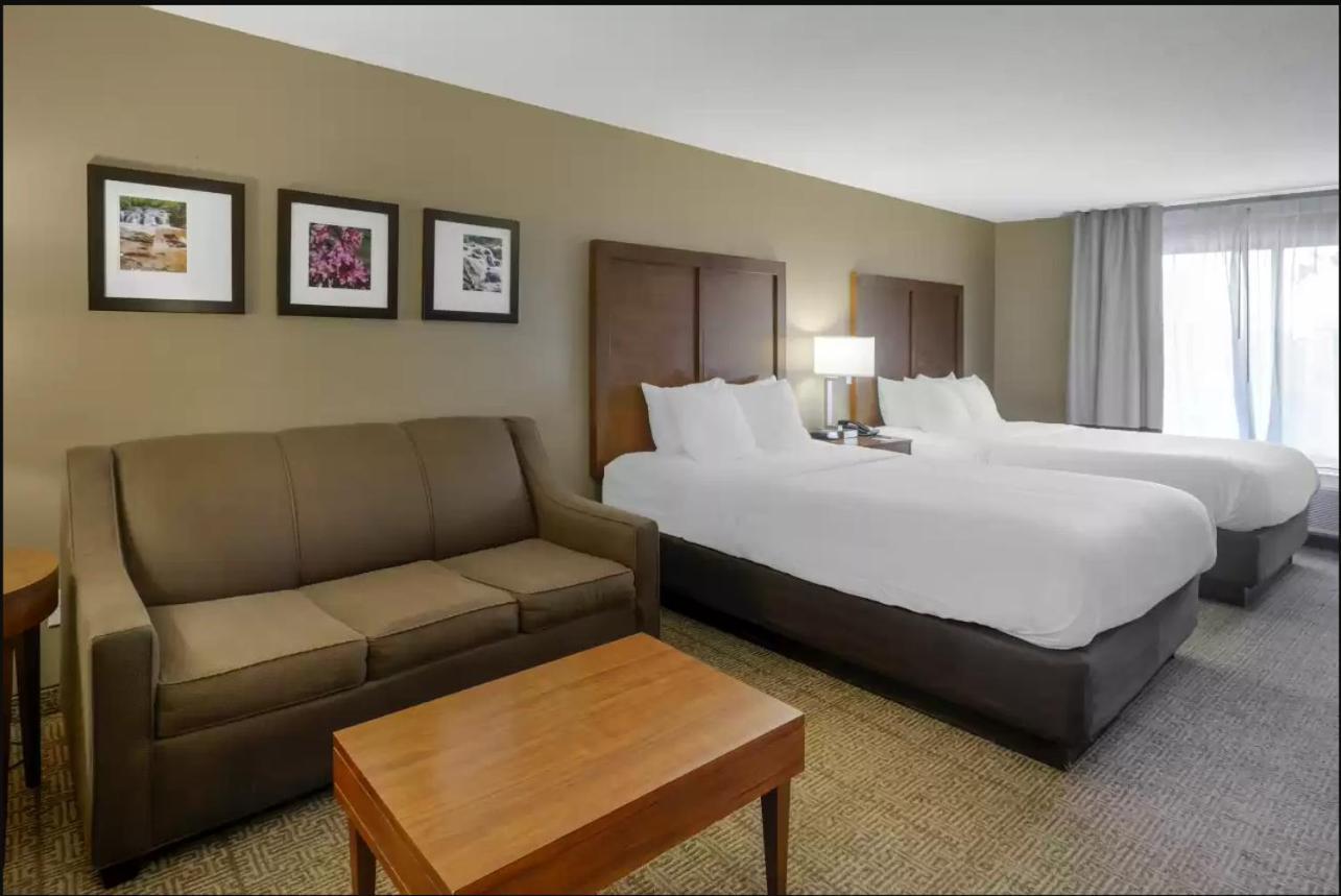 Comfort Inn & Suites Peachtree Corners - Norcross photo 14
