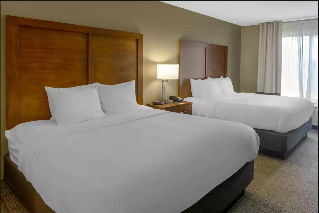 Comfort Inn & Suites Peachtree Corners - Norcross photo 20