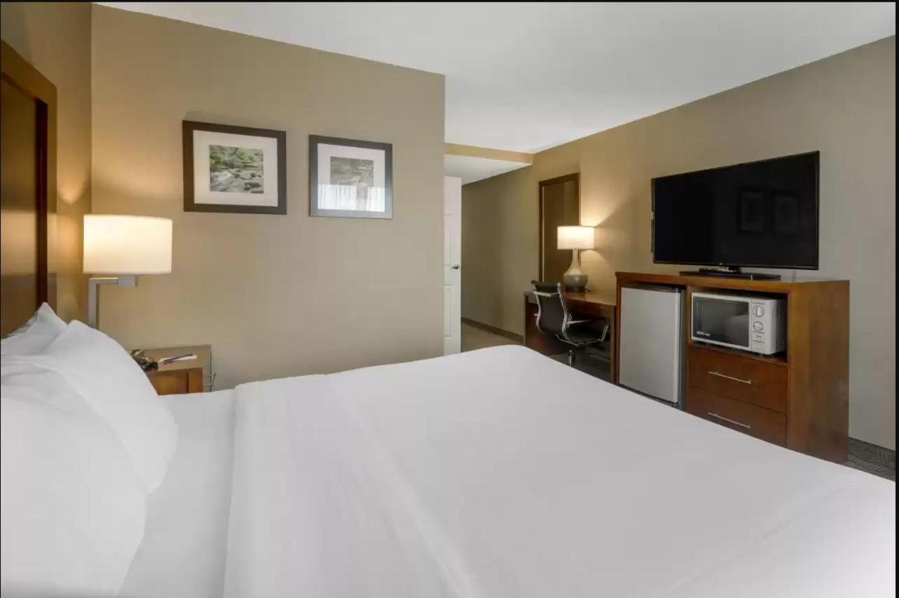 Comfort Inn & Suites Peachtree Corners - Norcross photo 21