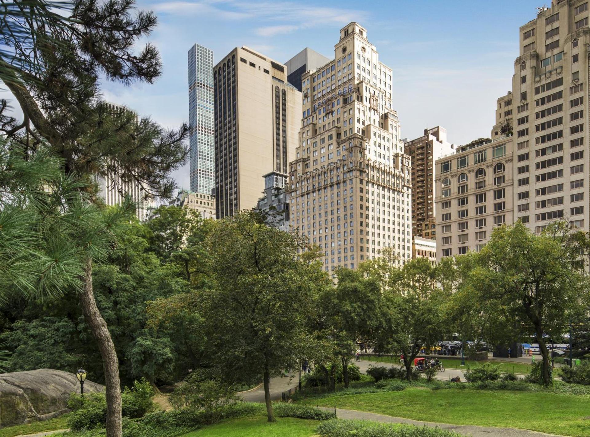 The Ritz-Carlton New York, Central Park photo 63