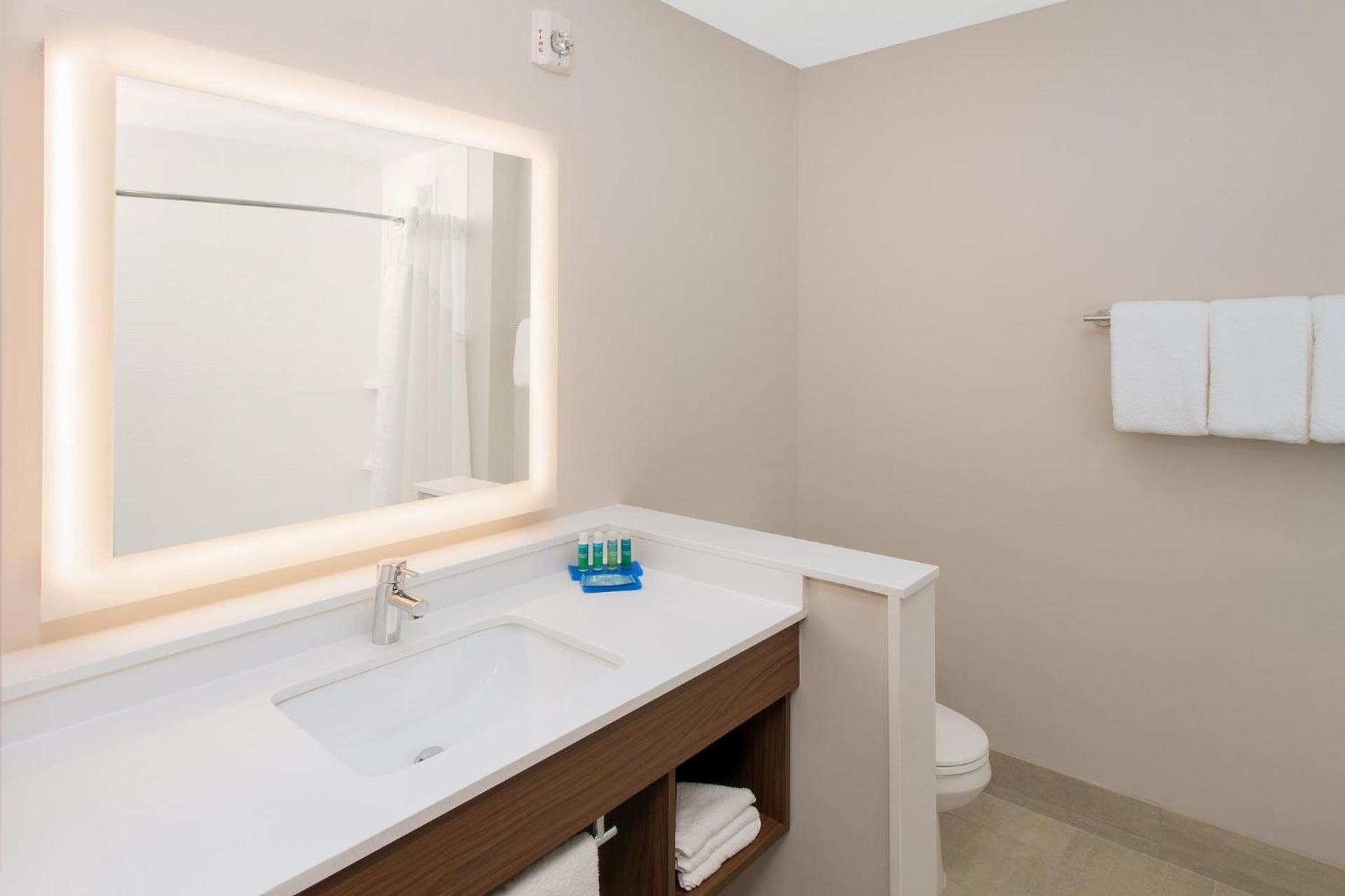 Holiday Inn Express & Suites - Sterling Heights-Detroit Area by IHG photo 28