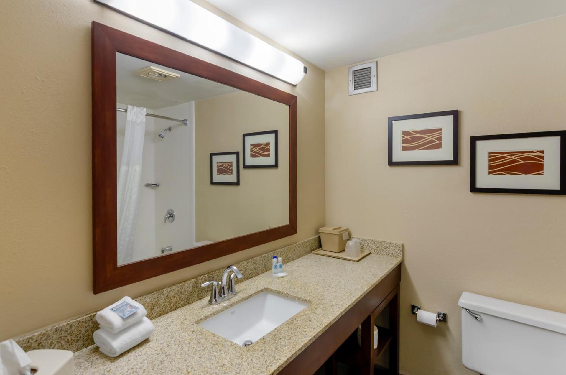 Comfort Inn Blacksburg University Area photo 24