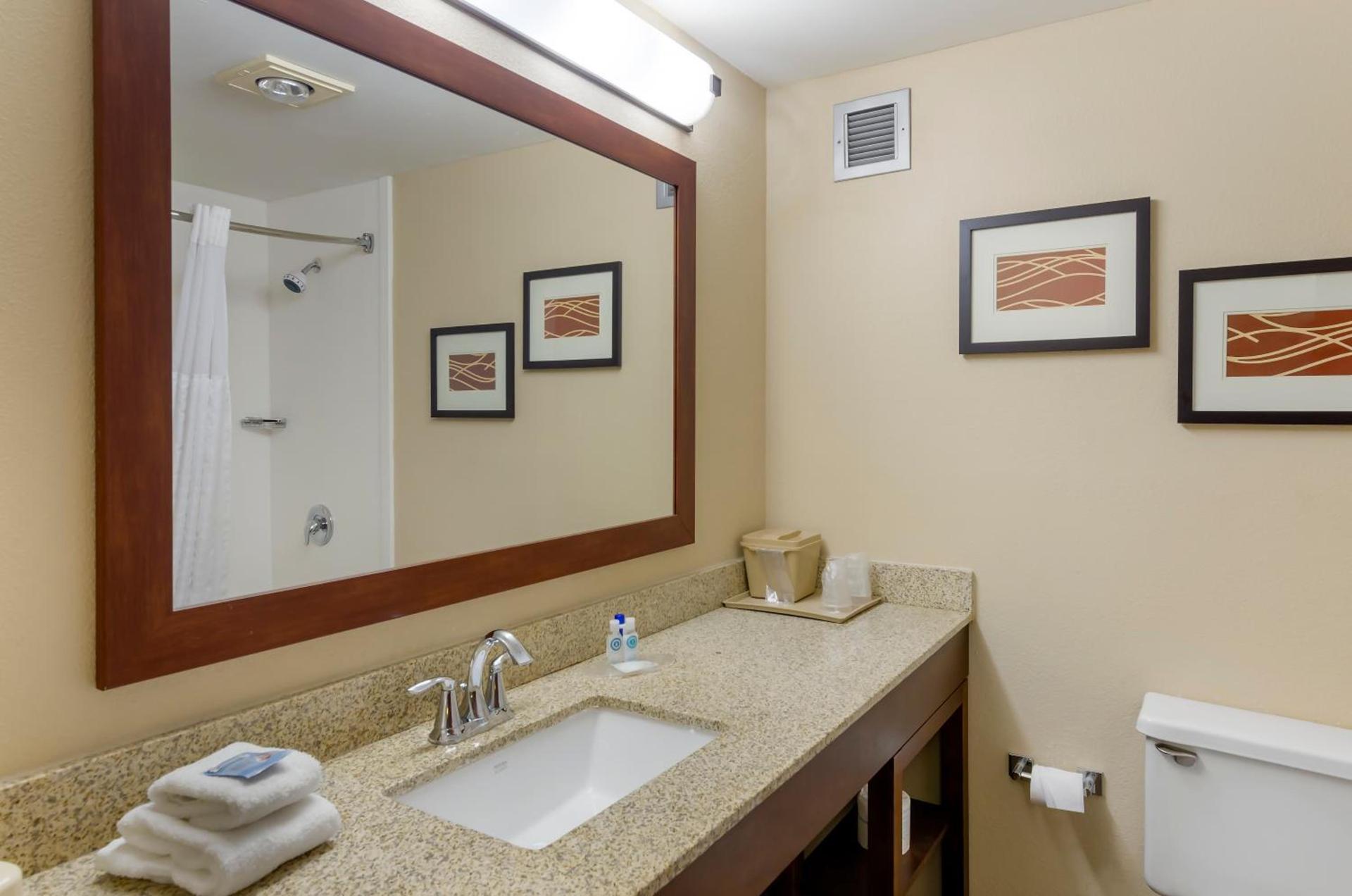 Comfort Inn Blacksburg University Area photo 27