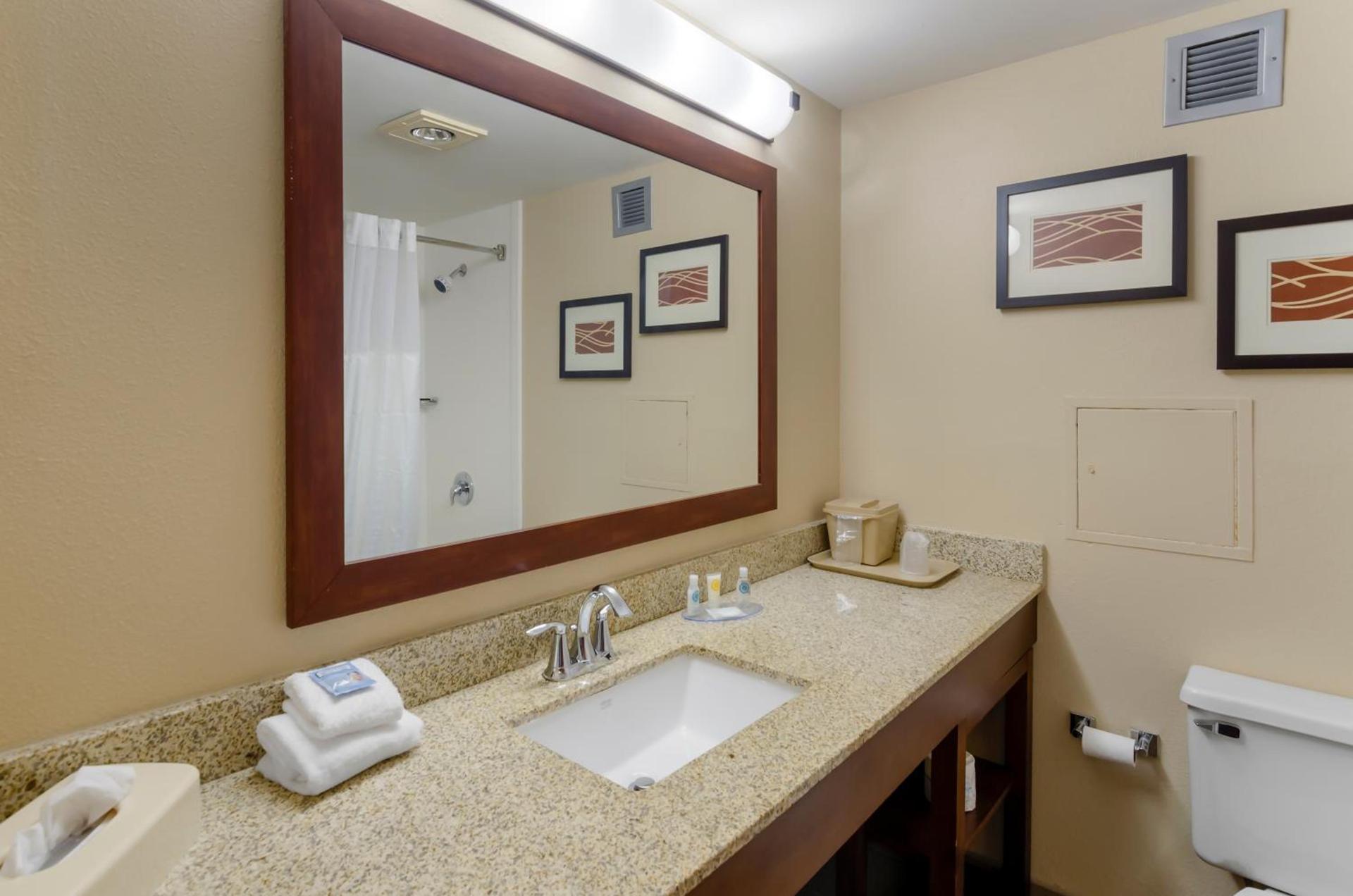 Comfort Inn Blacksburg University Area photo 29