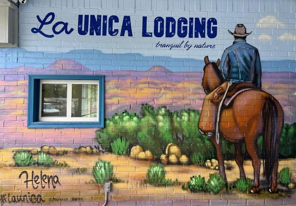 La Unica photo 18