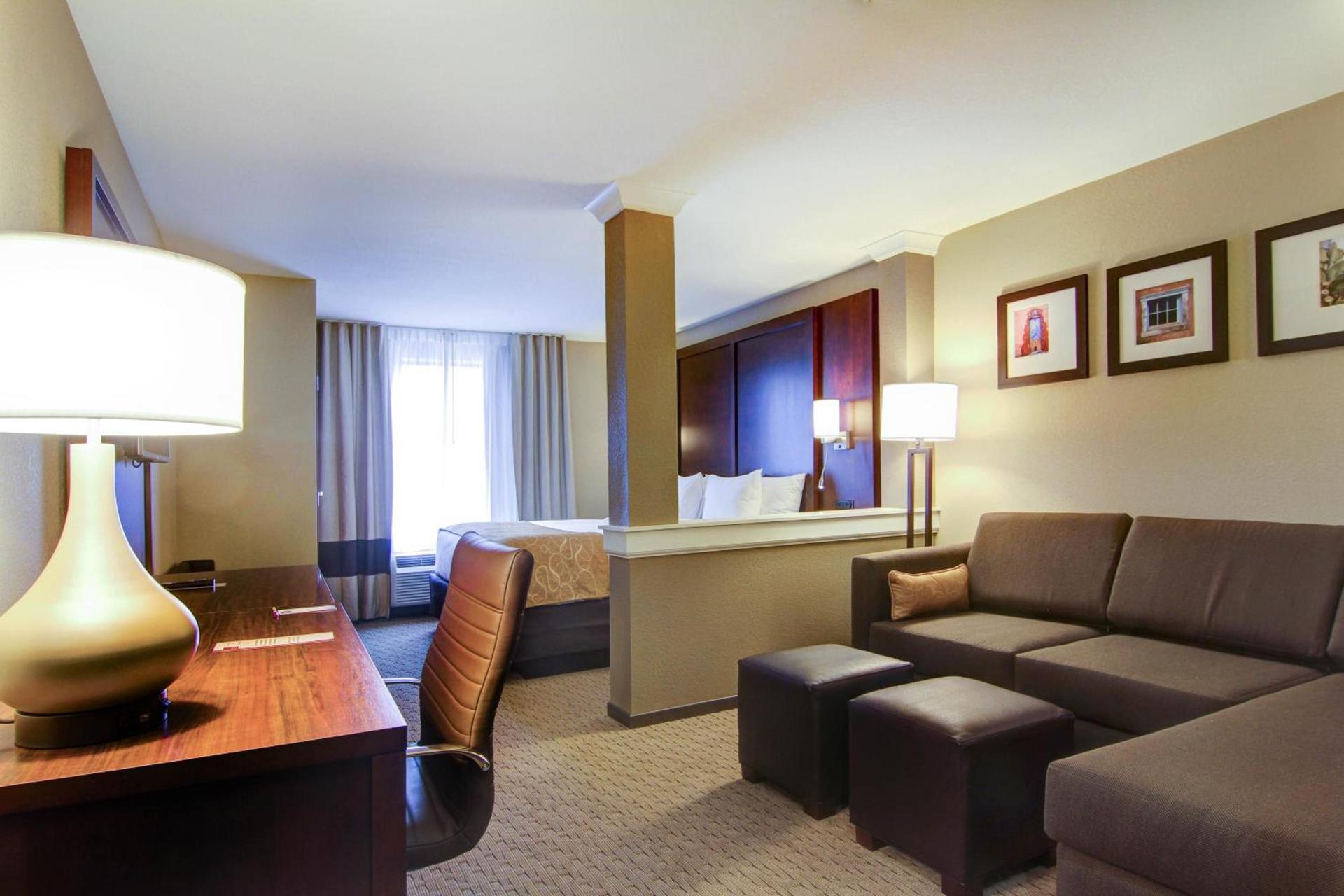 Comfort Suites Carlsbad photo 11