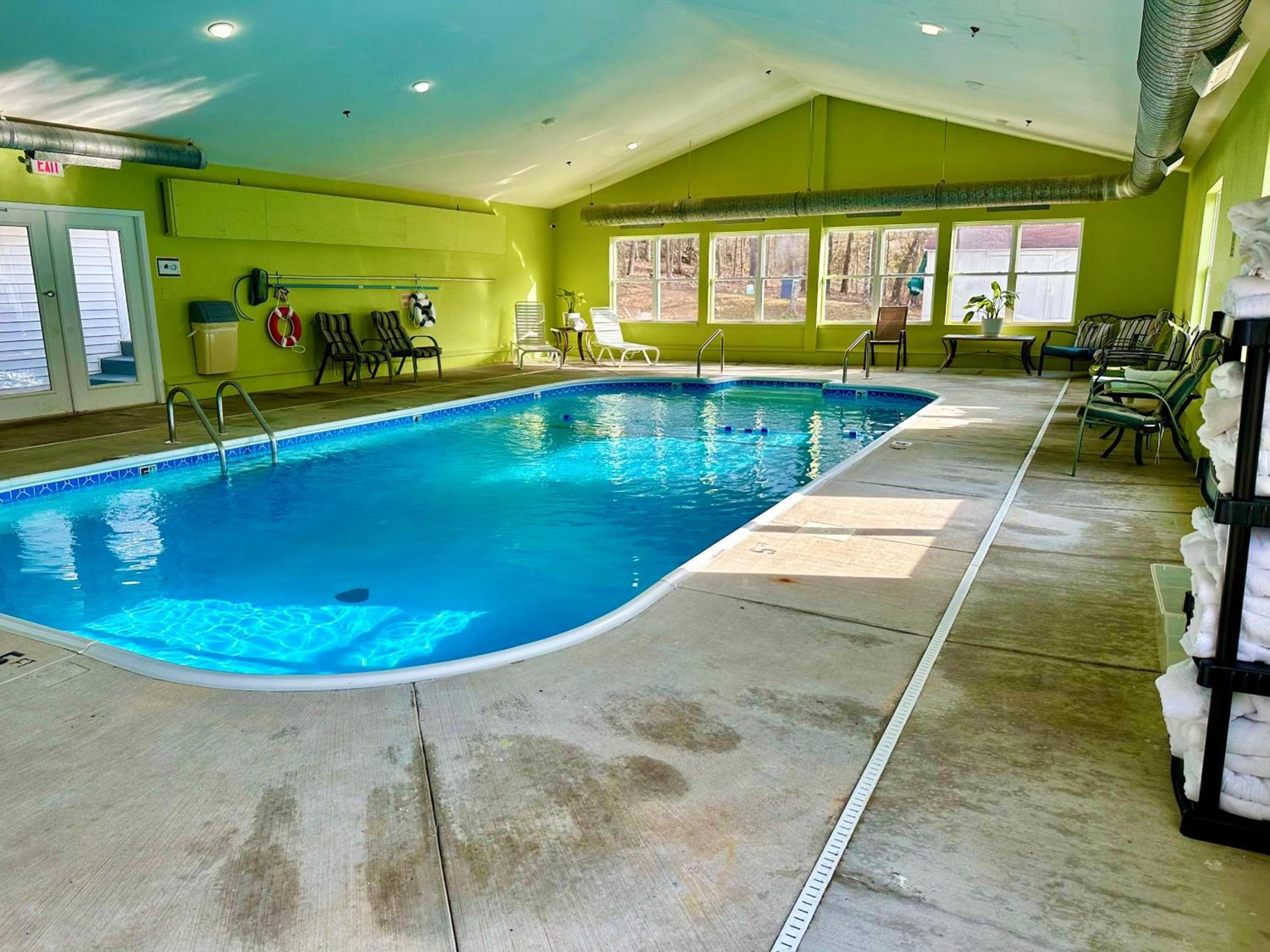 Celebrity Inn photo 17