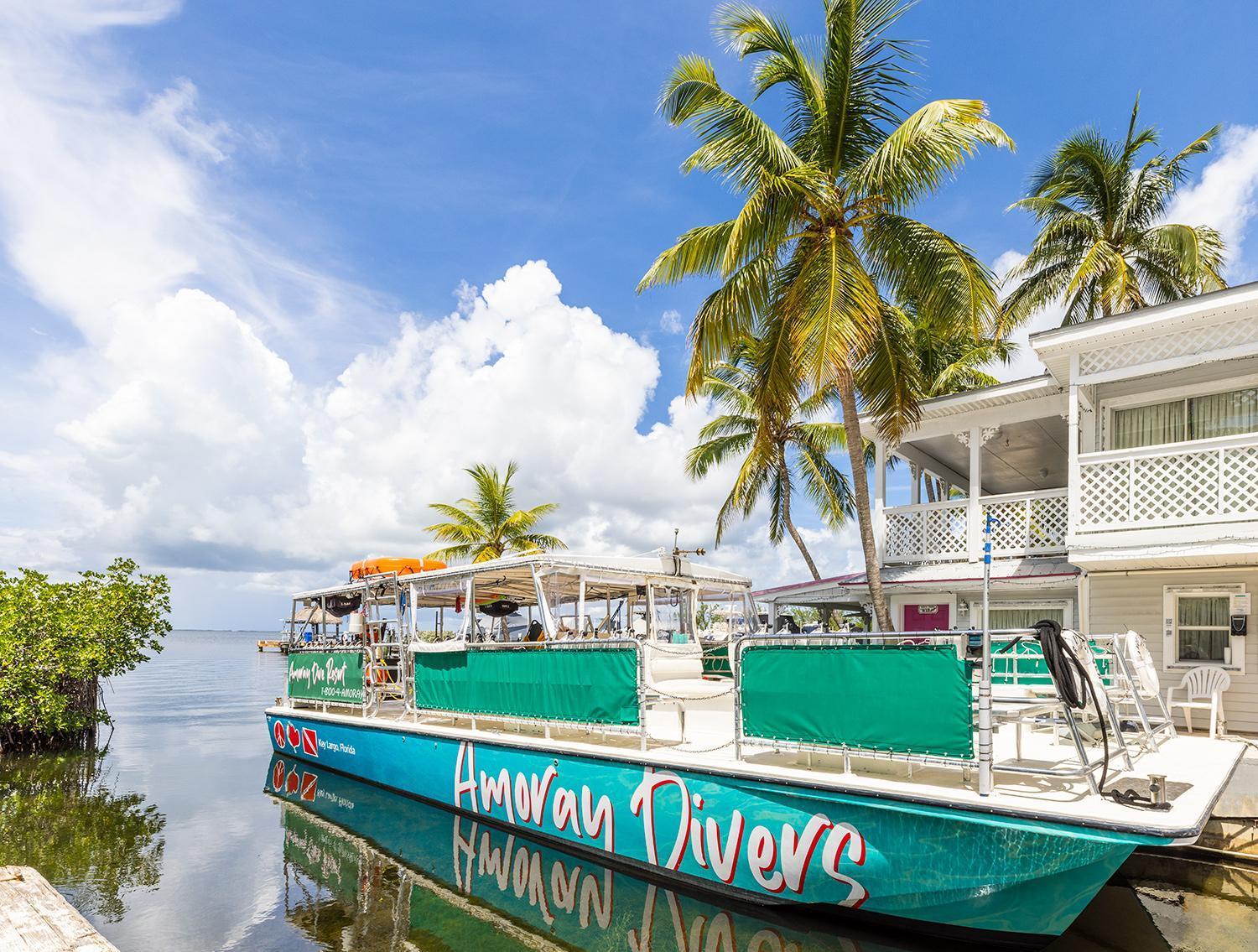Amoray Dive Resort photo 71