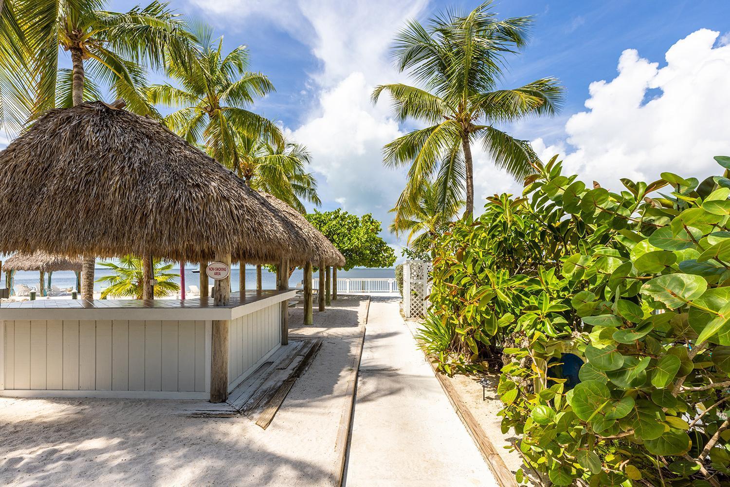 Amoray Dive Resort photo 67