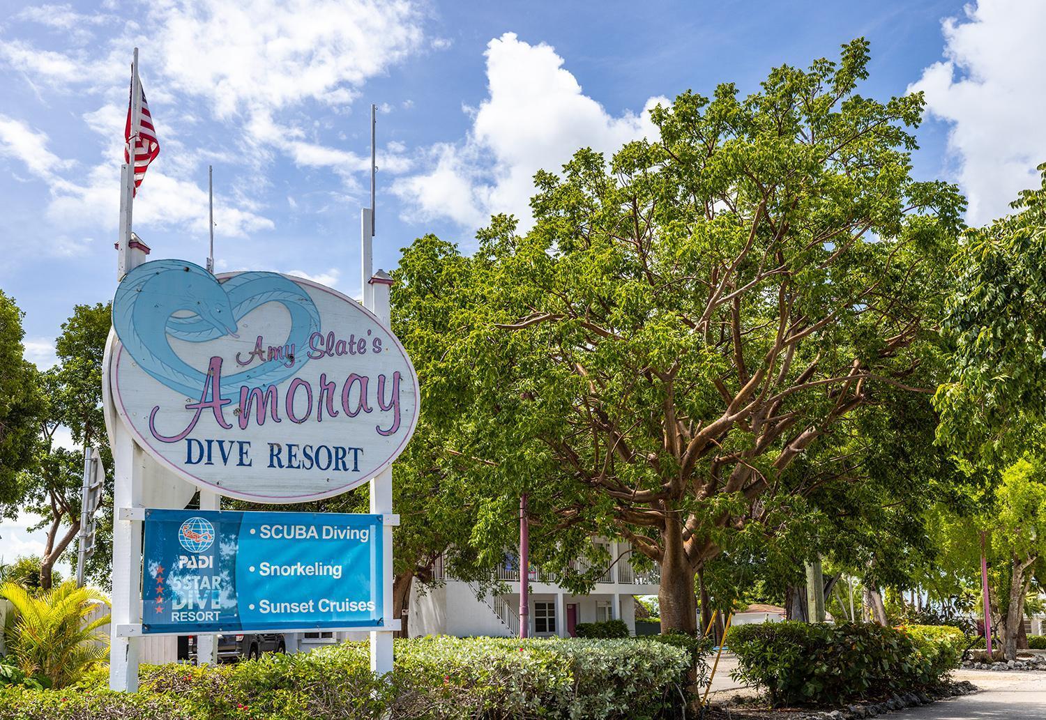 Amoray Dive Resort photo 75