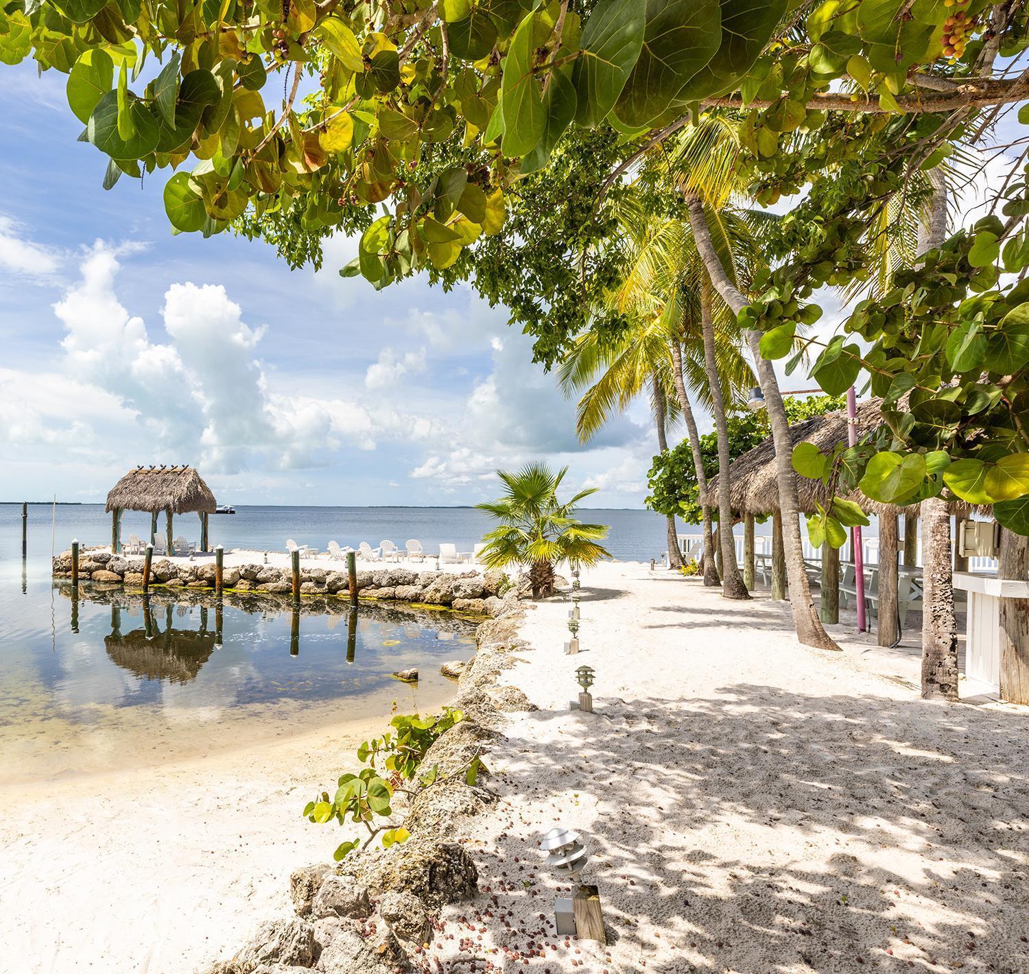 Amoray Dive Resort photo 73