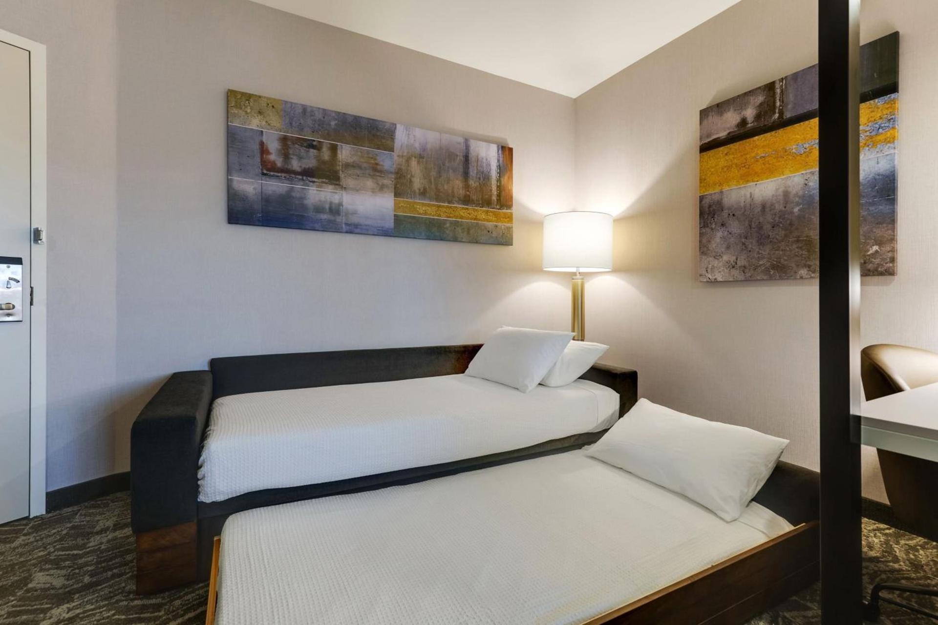 SpringHill Suites by Marriott Cheraw photo 63