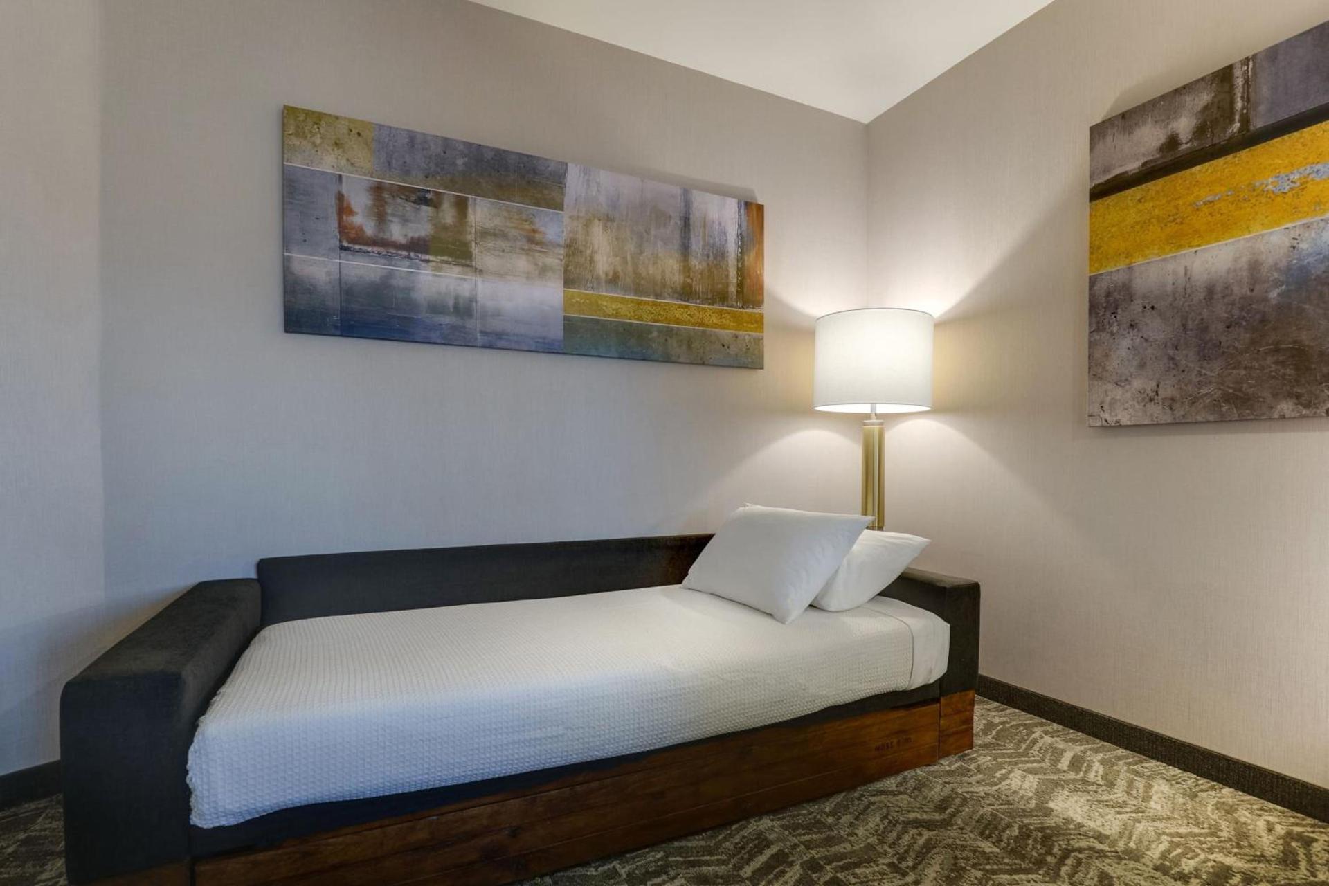 SpringHill Suites by Marriott Cheraw photo 77