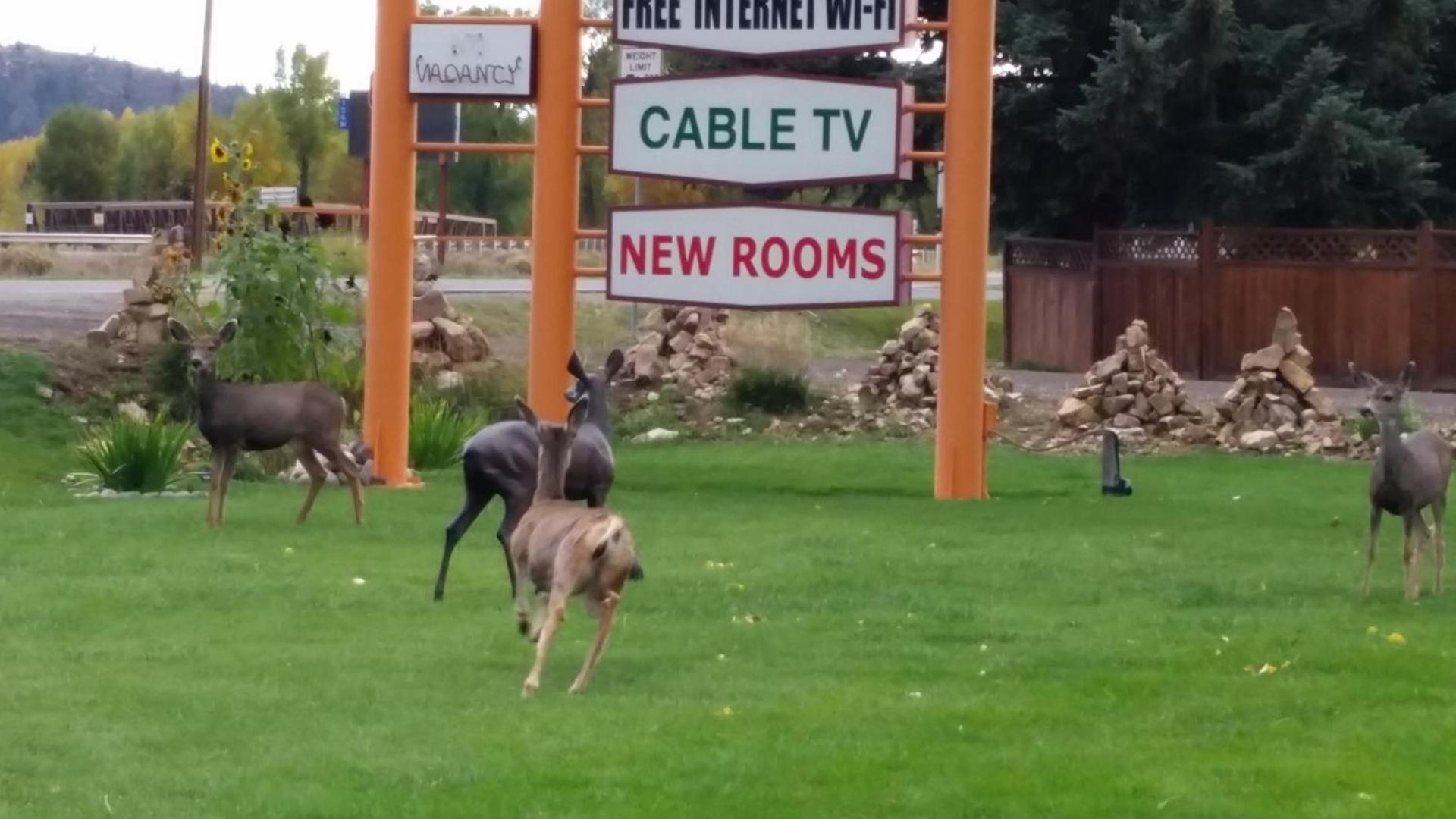 Long Holiday Motel photo 21