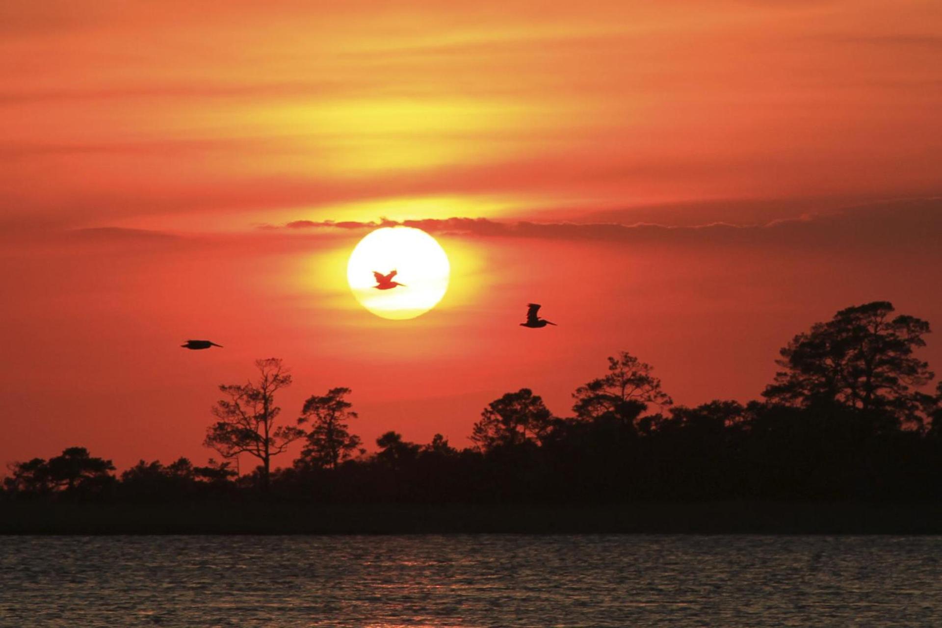 Hotel Tybee photo 16