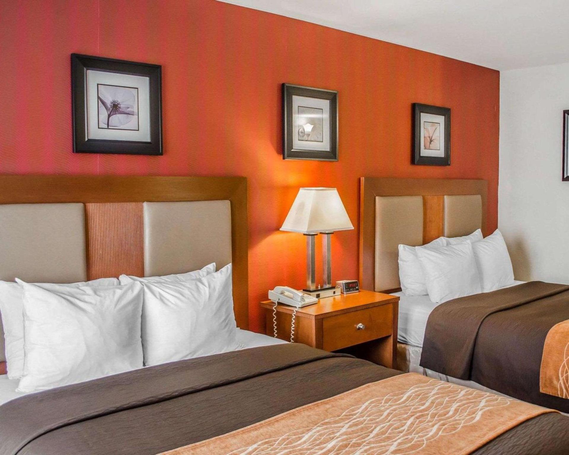 Hotel Hanna photo 17