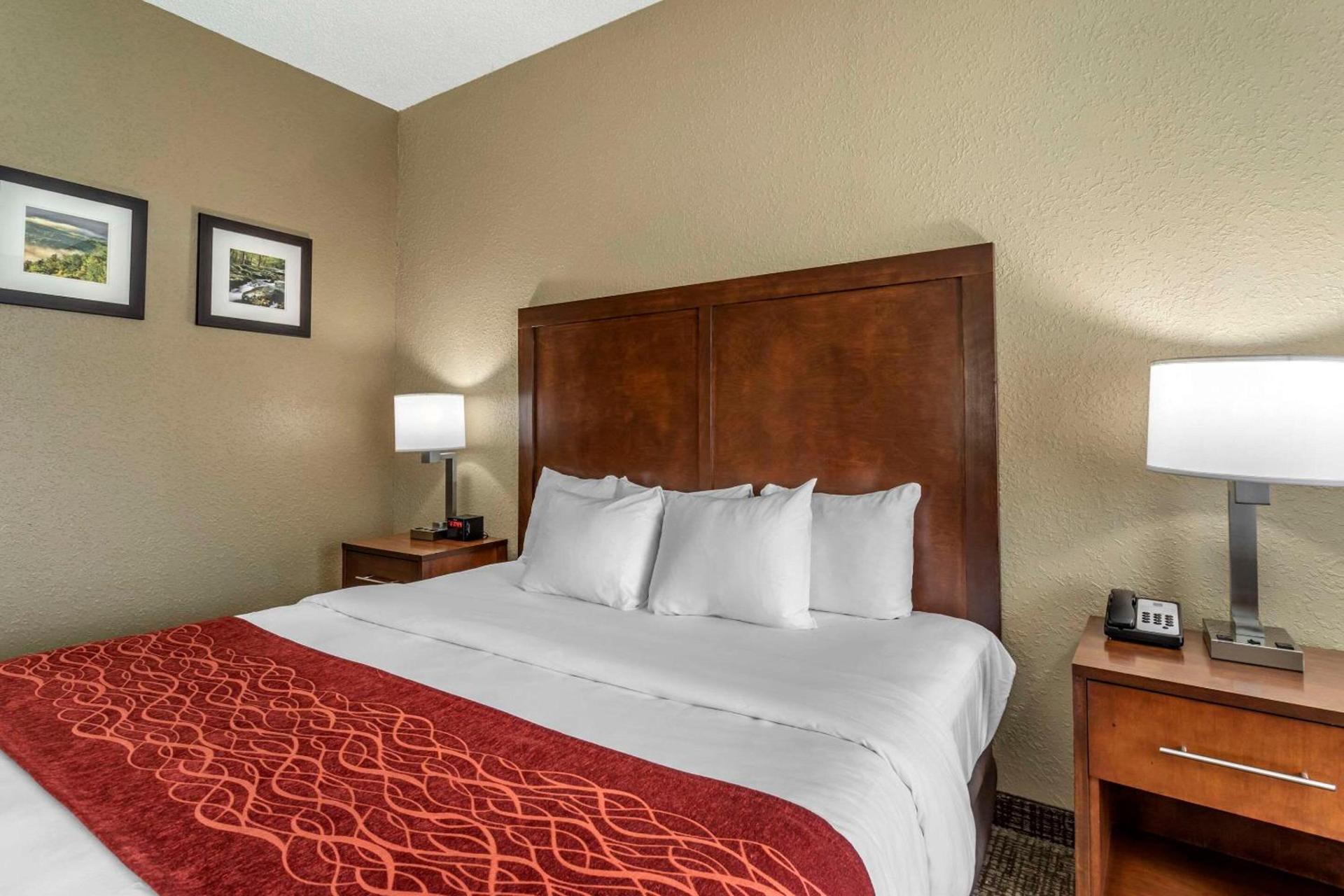 Comfort Inn Kingsport Southeast photo 16