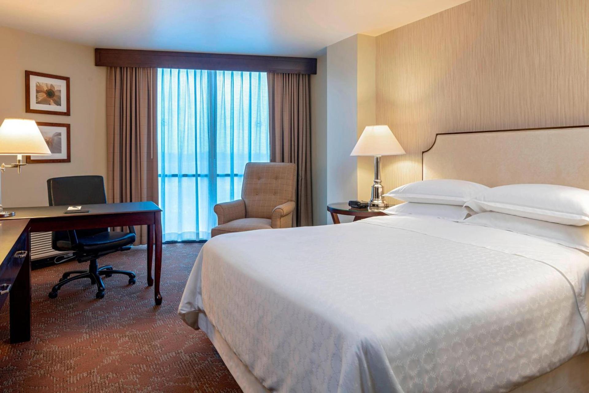 Sheraton Houston Brookhollow Hotel photo 6