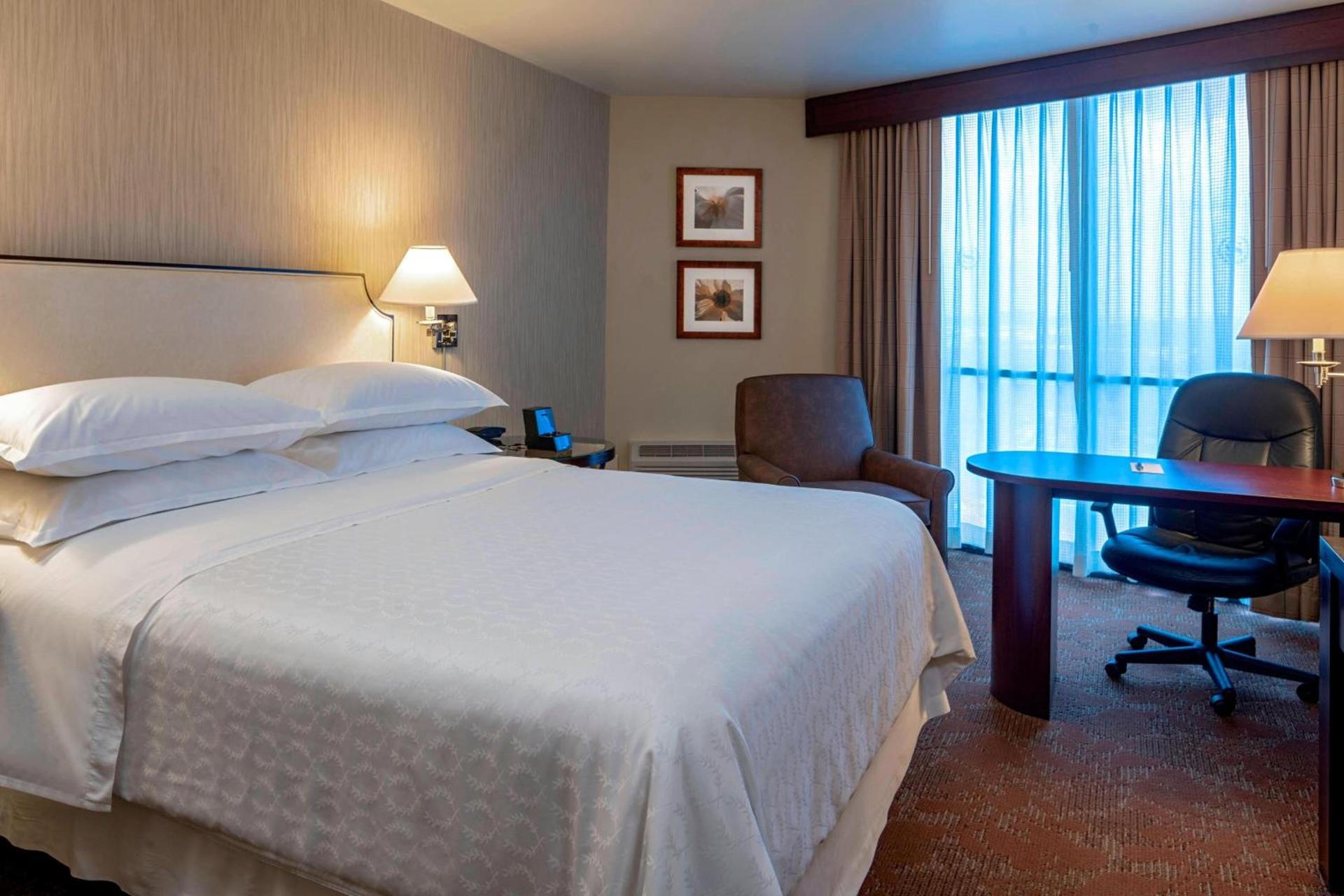 Sheraton Houston Brookhollow Hotel photo 5