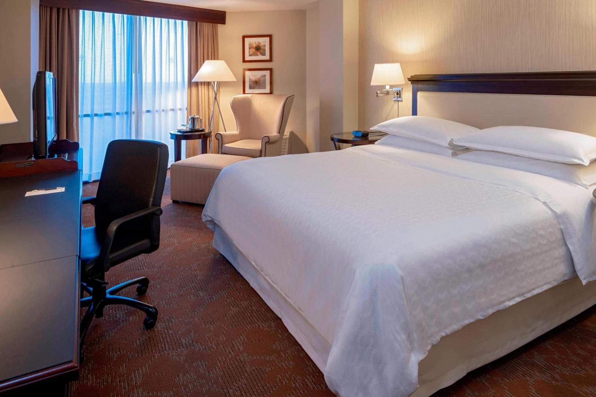 Sheraton Houston Brookhollow Hotel photo 7
