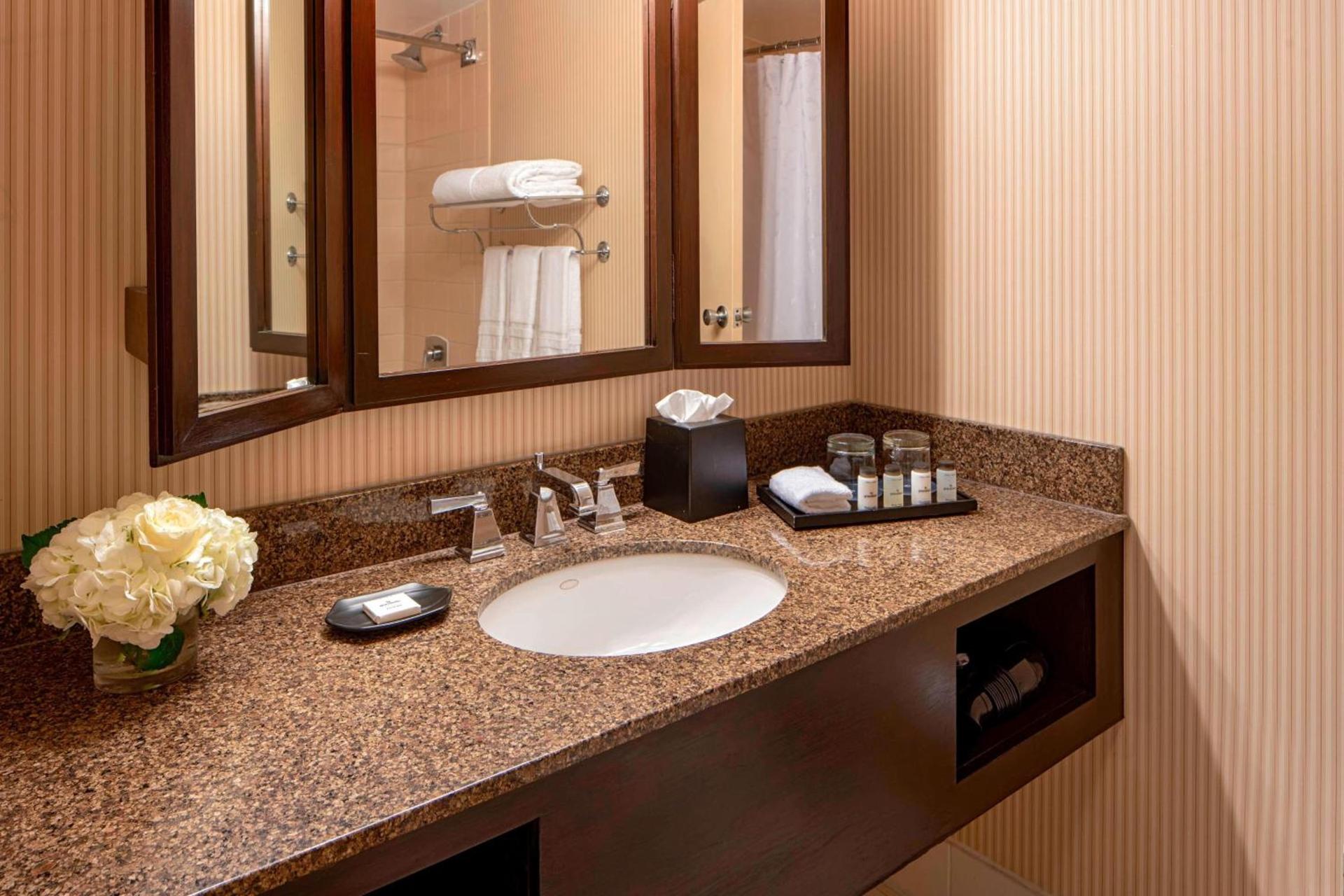 Sheraton Houston Brookhollow Hotel photo 9
